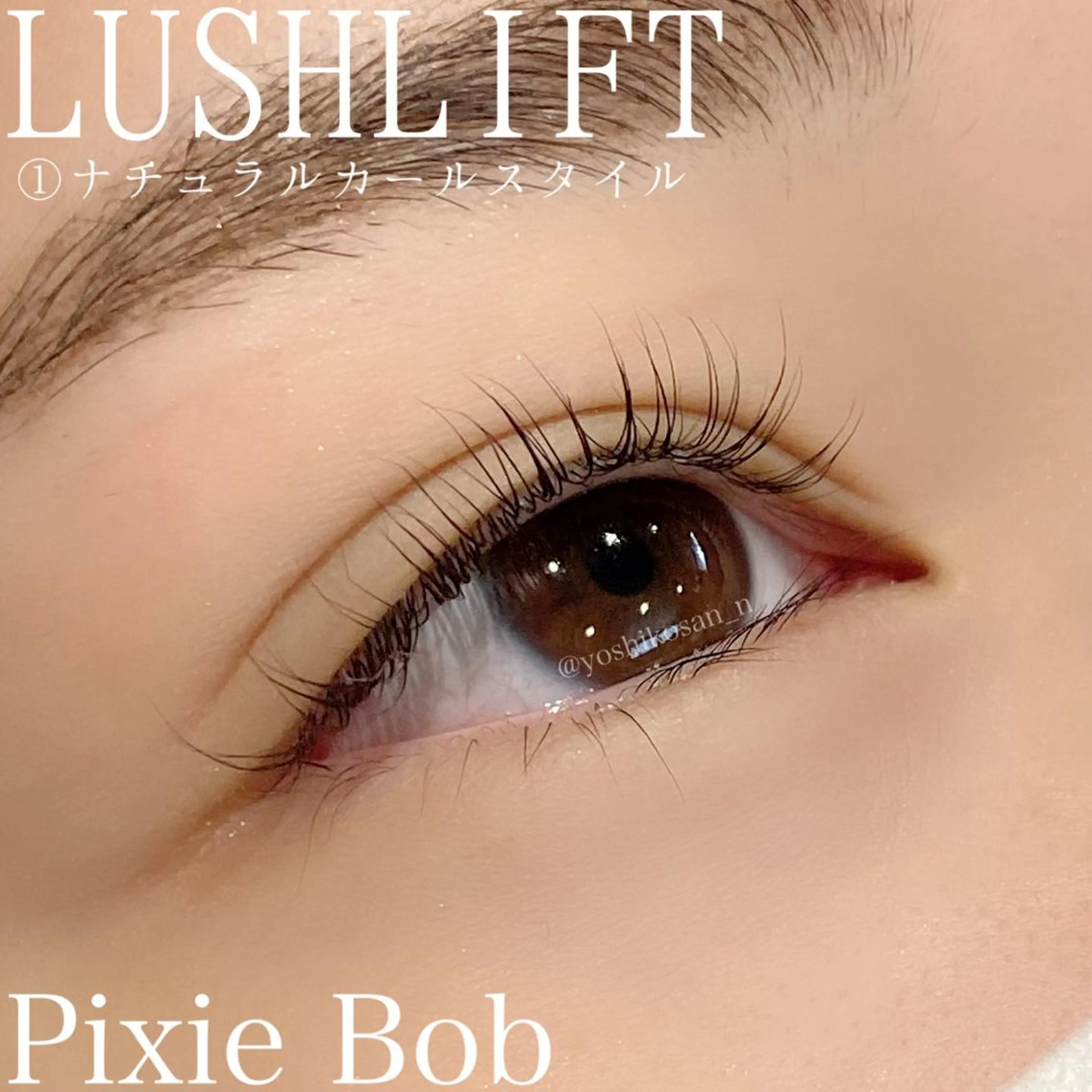 マツエク・マツパ ナチュラル Pixie Bob 🐈‍⬛　位田のマツエク・マツパデザイン