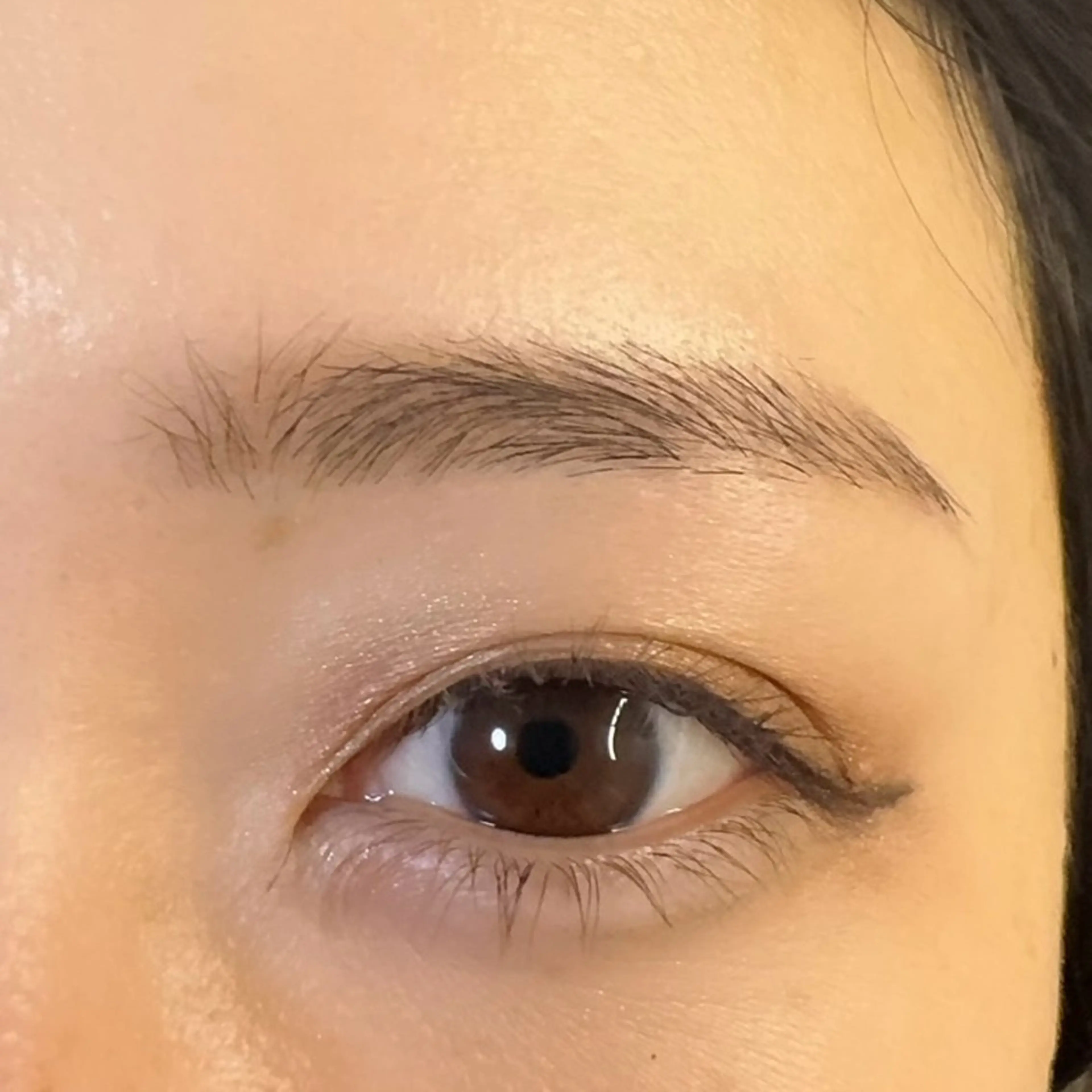 アイブロウ ao.eyelash 【ミニモ限定価格】の眉毛・アイブロウイメージ