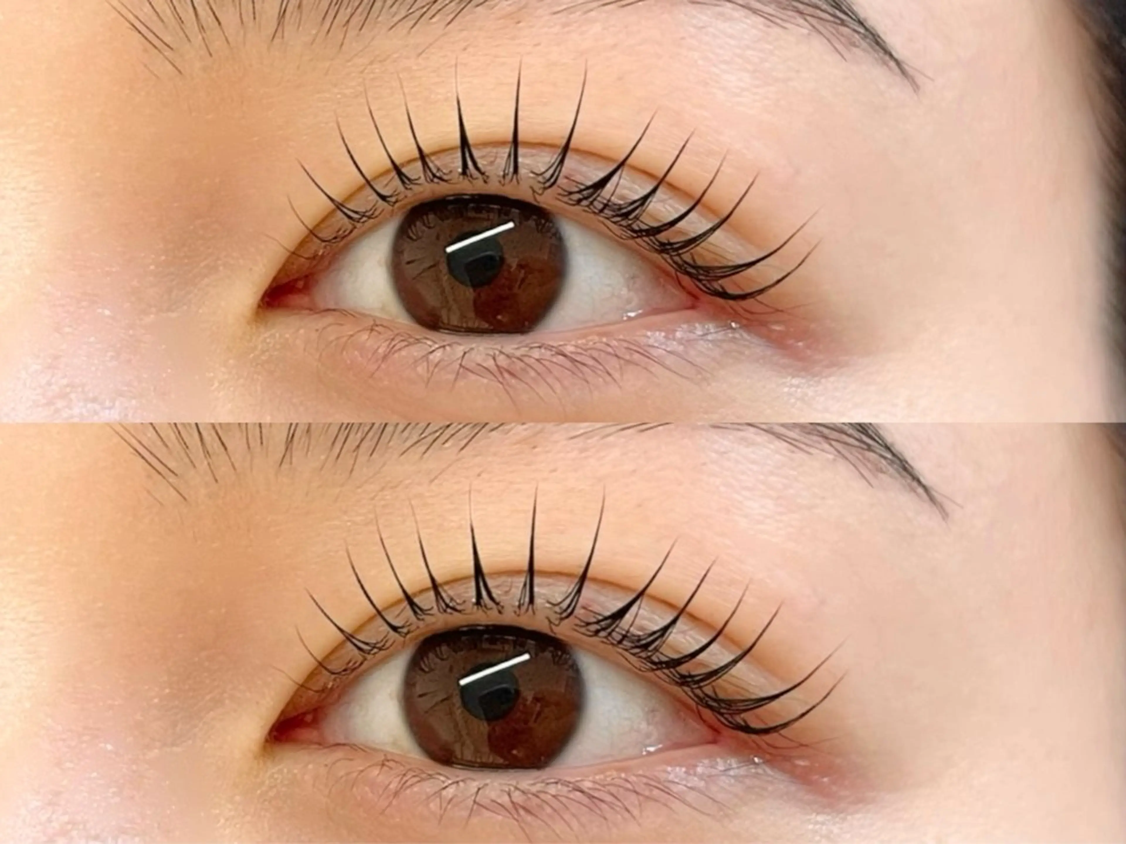 マツエク・マツパ カラーマツエク フラットラッシュ 韓国風マツエク パリジェンヌラッシュリフト まつげパーマ knoman 中目黒【ノマン】のマツエク・マツパデザイン