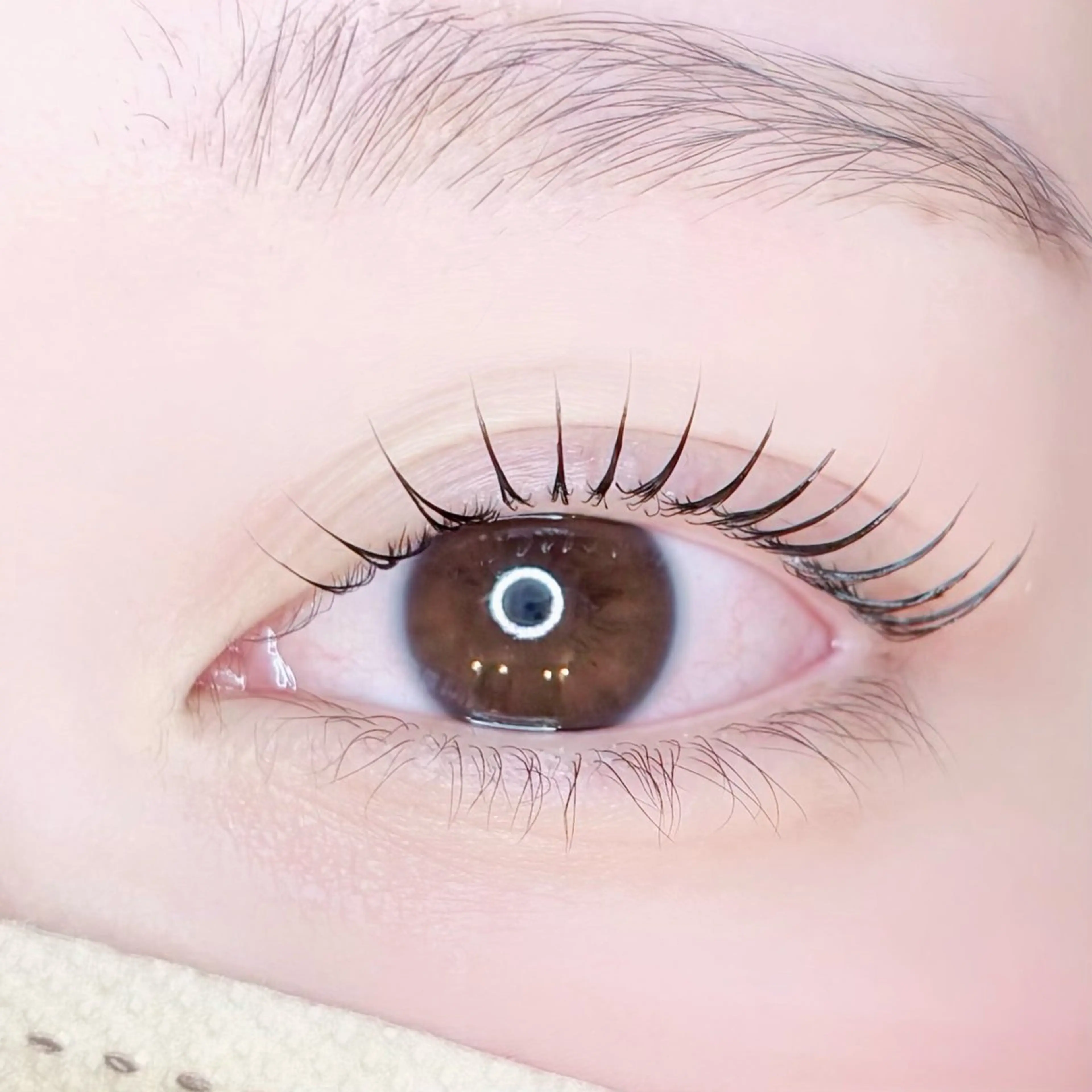 マツエク・マツパ ：O 🛋️ eye designのマツエク・マツパデザイン