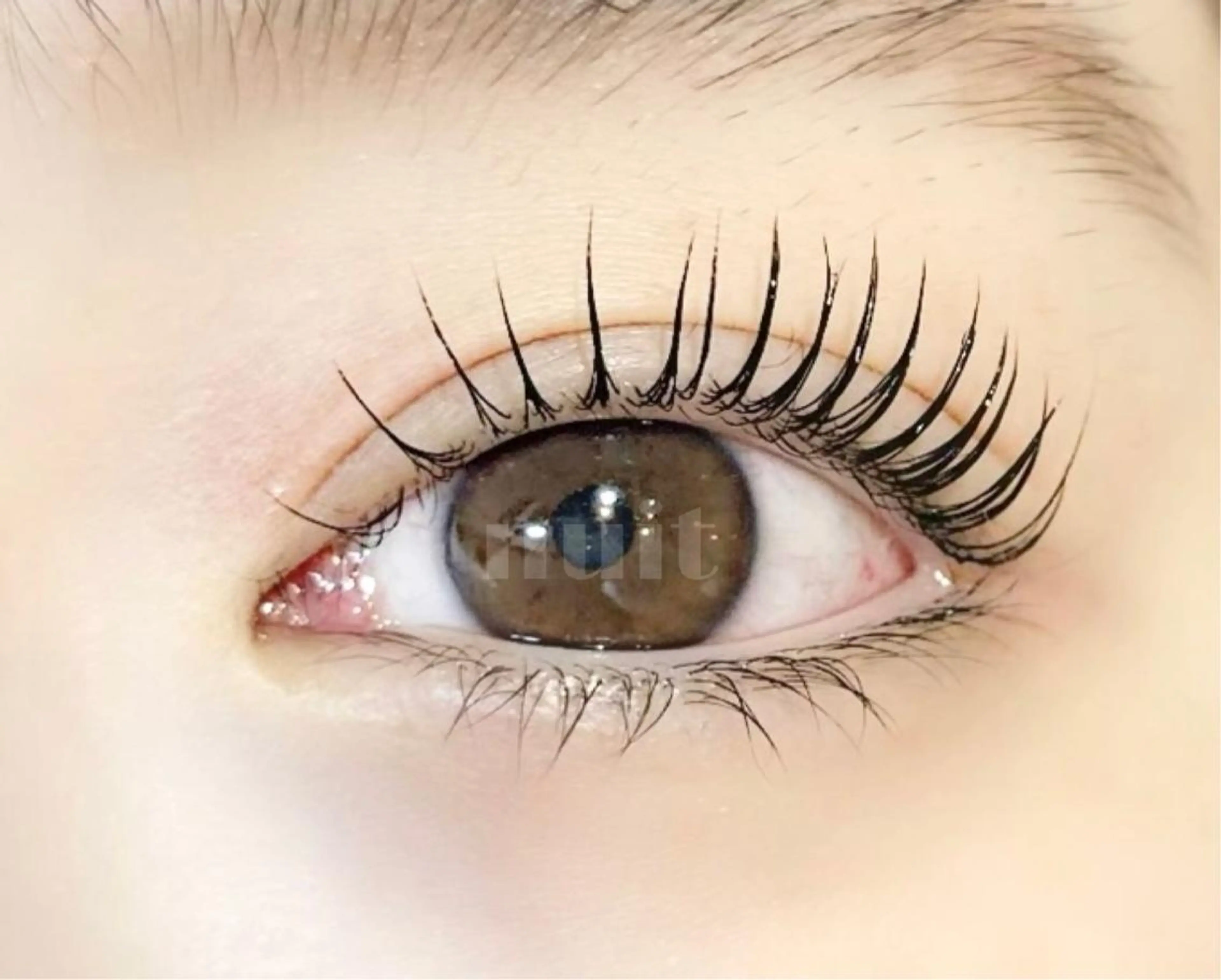 マツエク・マツパ パリジェンヌラッシュリフト eyelash  salon  nuit【ニュイ】所属・nuit 【ニュイ】 大宮 /　yucaのマツエク・マツパデザイン