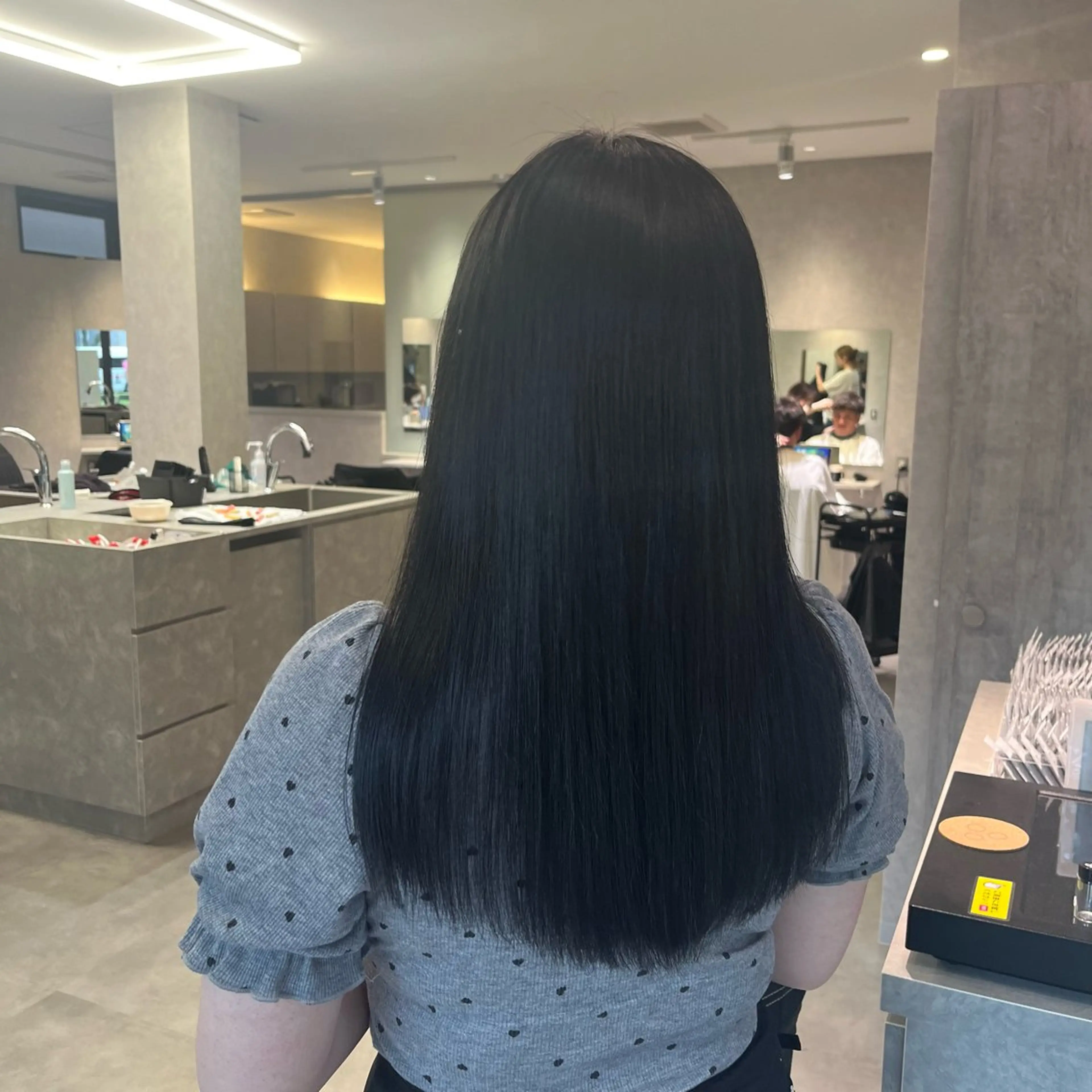 ロング カット ヘアカラー トリートメント Sol / chika🪽のヘアスタイル