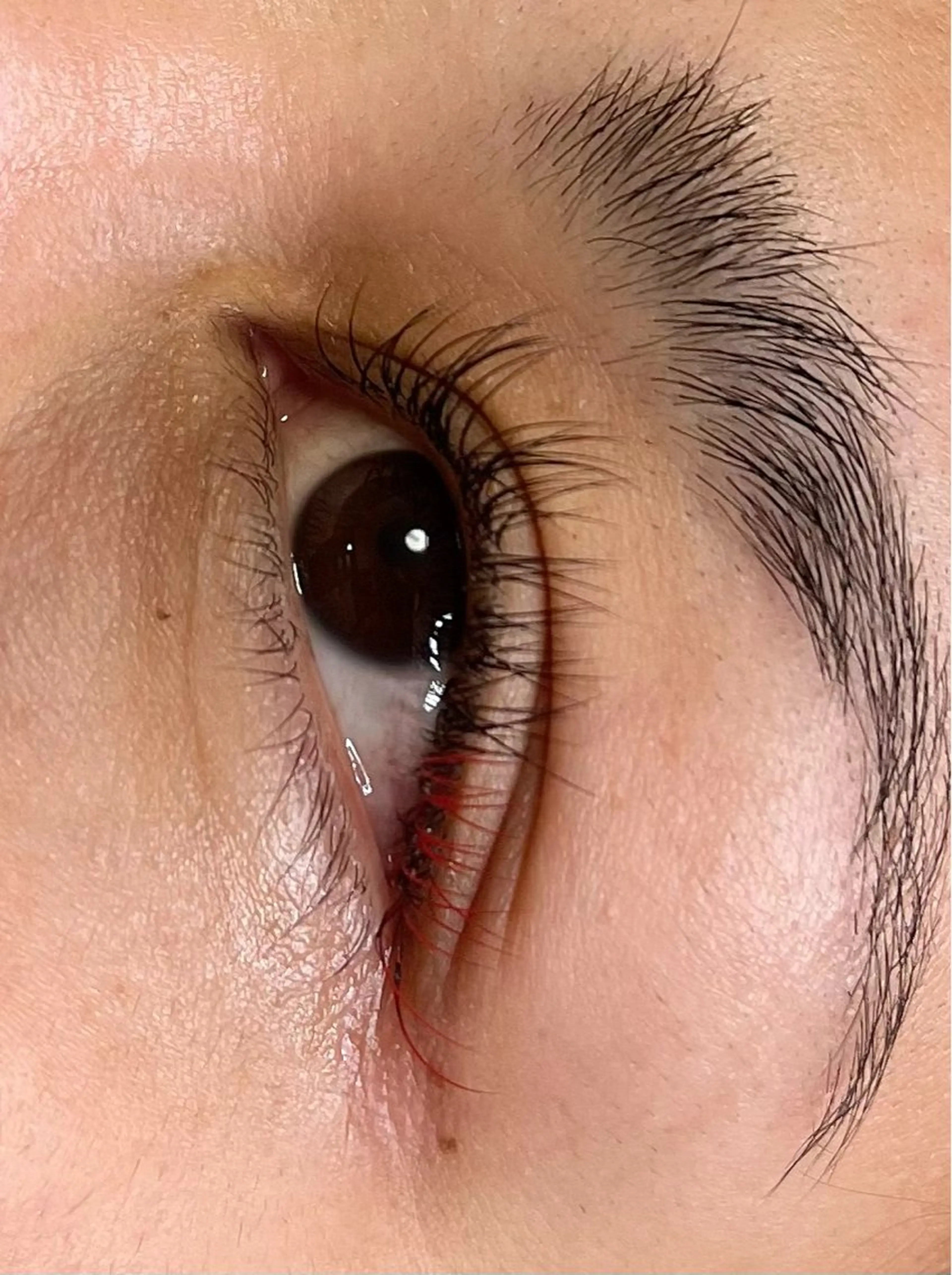 マツエク・マツパ perky所属・perky 羽島のマツエク・マツパデザイン