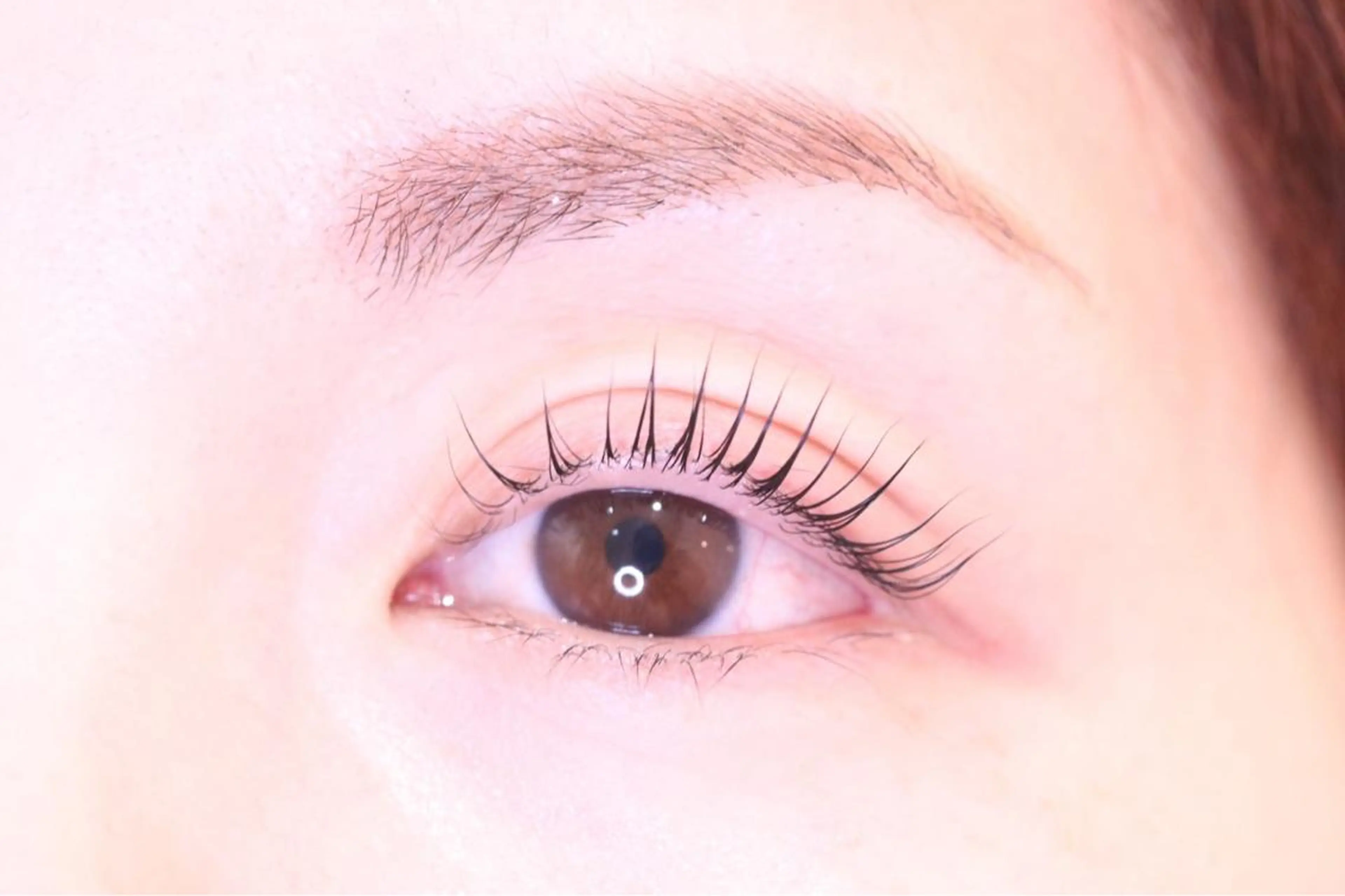 パーマ サクラブロウ 池袋　店の眉毛・アイブロウイメージ