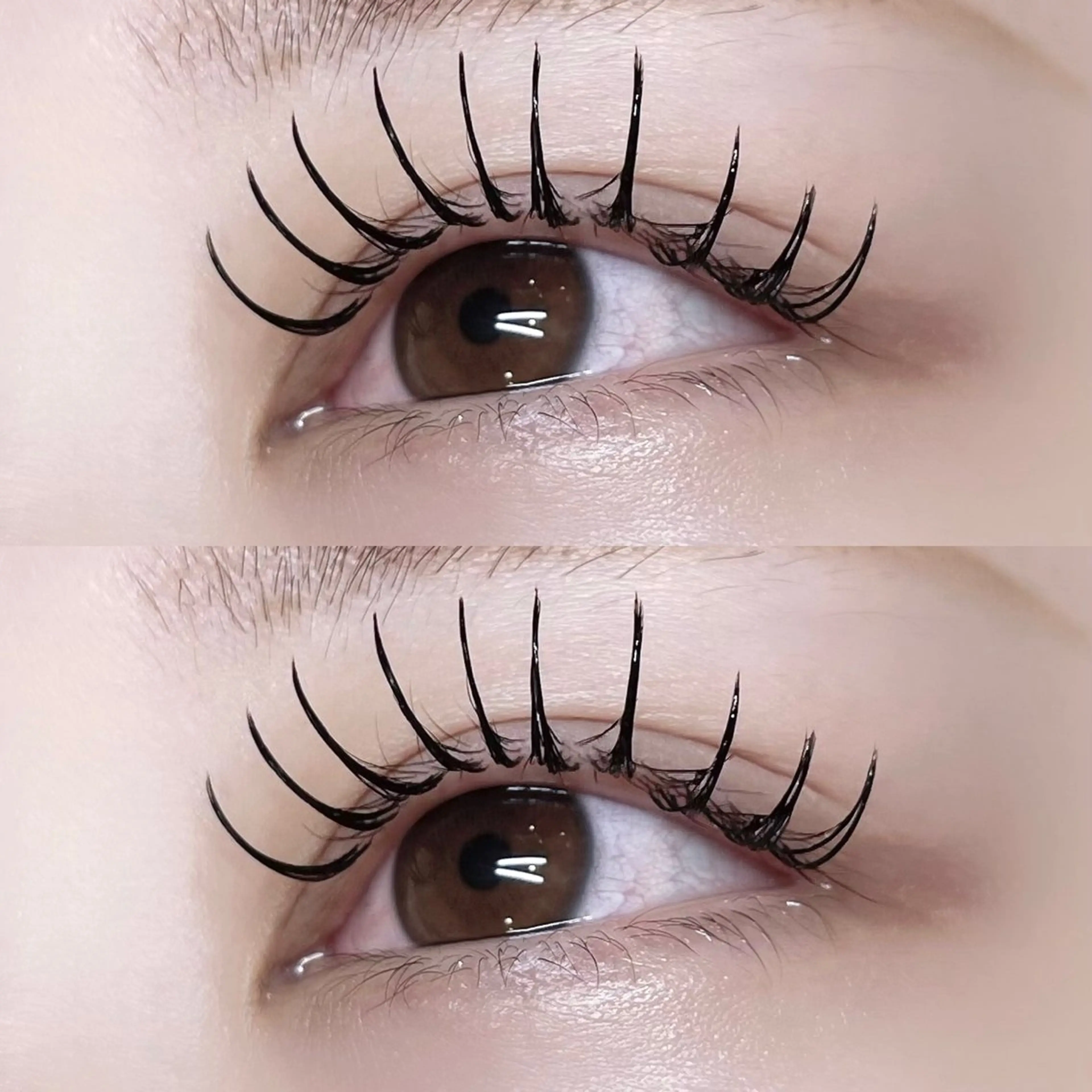 マツエク・マツパ マツエク Pupu lash🐱のその他イメージ