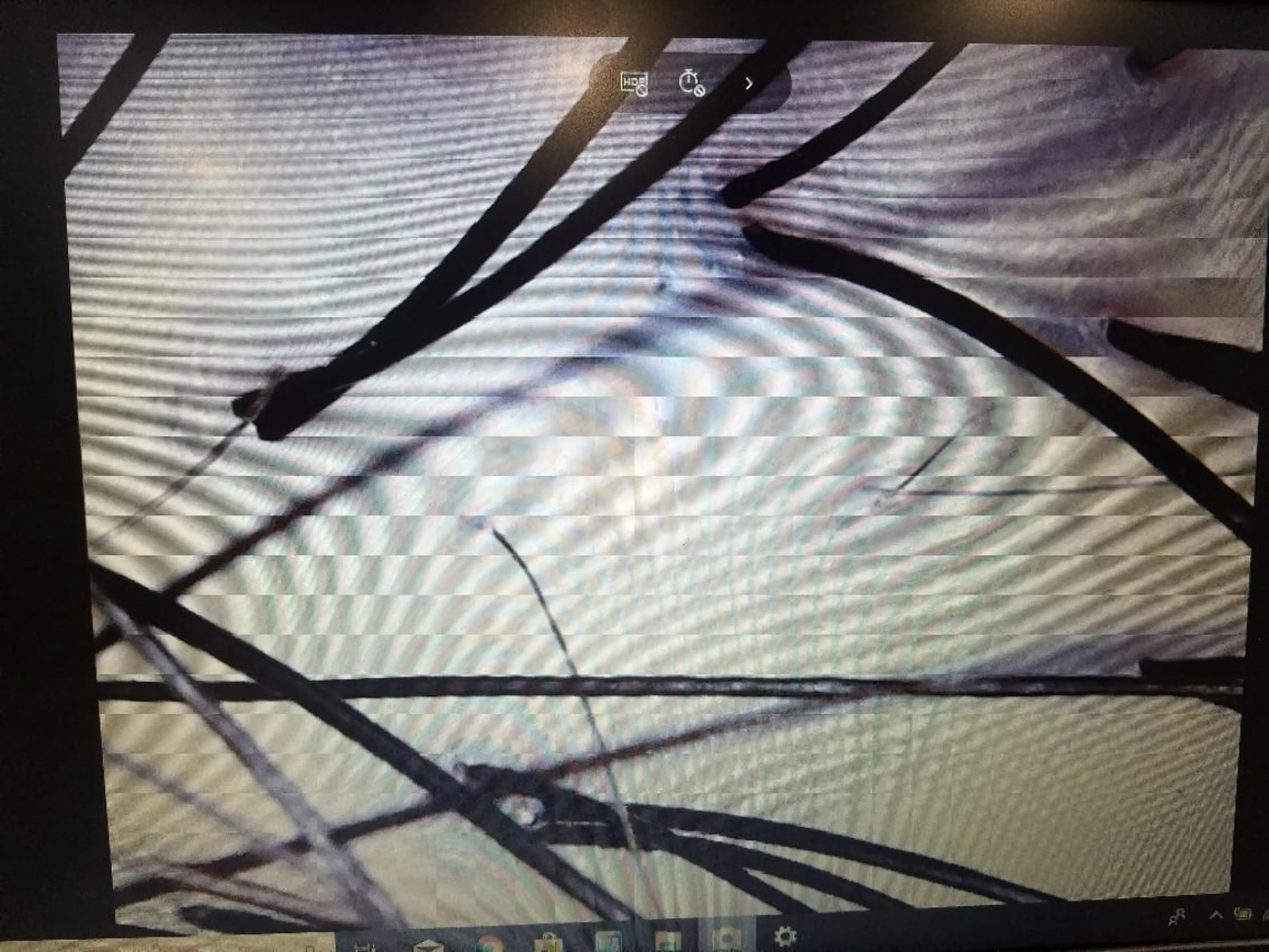 ショート メンズ 髪の病院ルーミールーム所属・髪の病院  ルーミールームのヘアスタイル