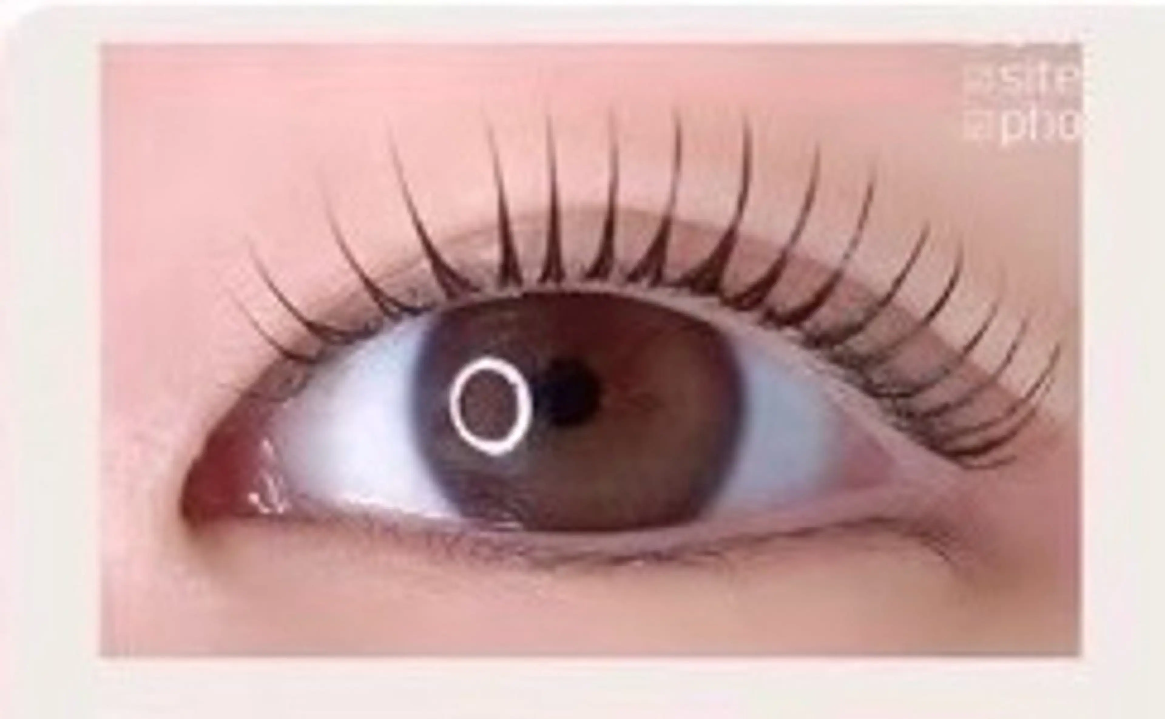 🐰立ち上げ＋Cカール【ミミドール】束感仕上げ持ち重視◎🐰➕コラーゲントリートメント新規の写真