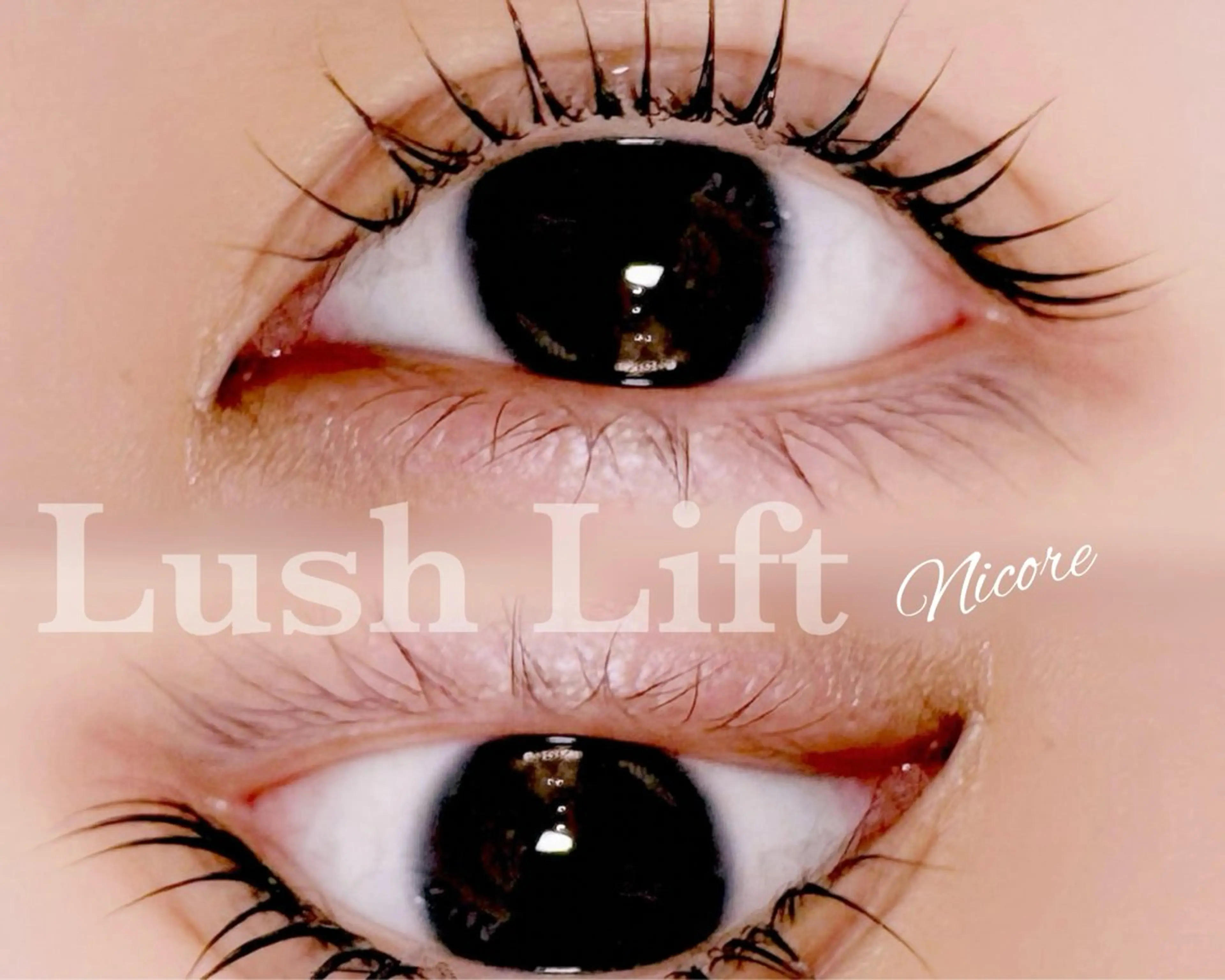 マツエク・マツパ パリジェンヌラッシュリフト 一重×まつ毛パーマ Nicore所属・肌質改善🌿まつ毛 chapiのその他イメージ