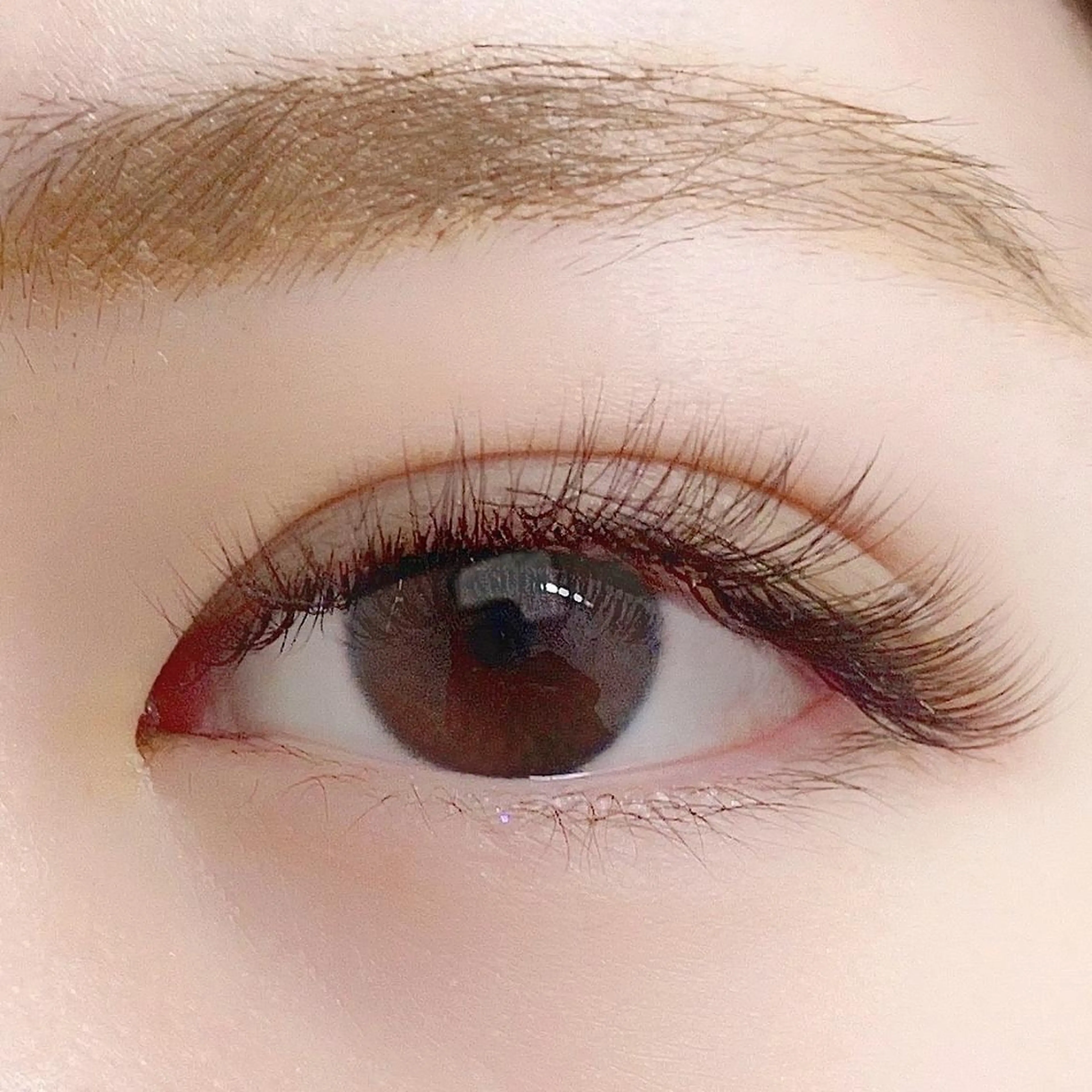 マツエク・マツパ ボリュームラッシュ マツパ/マツエク アイリスト　酒井の眉毛・アイブロウイメージ