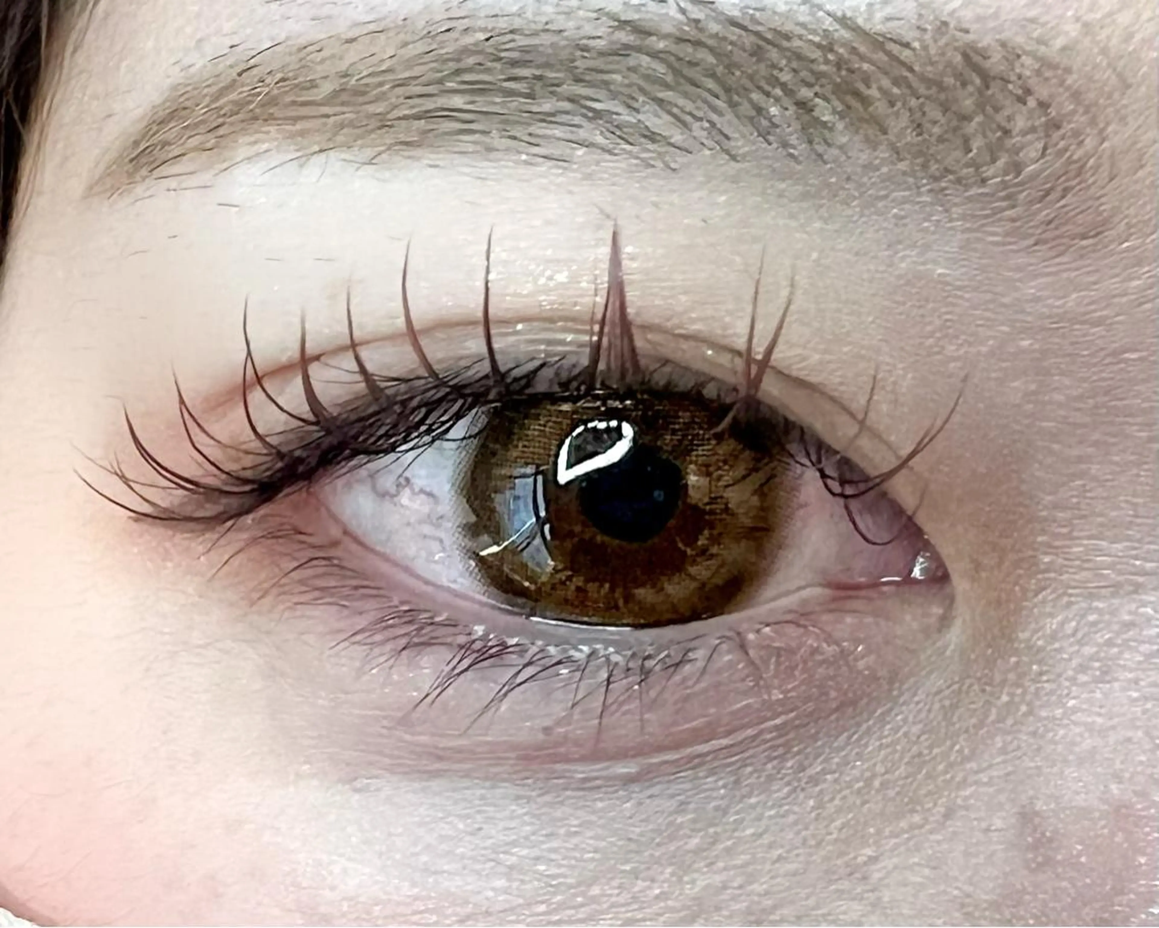 マツエク・マツパ カラーマツエク フラットラッシュ マツエク Celeste Venus所属・🧸Celeste Venusのマツエク・マツパデザイン