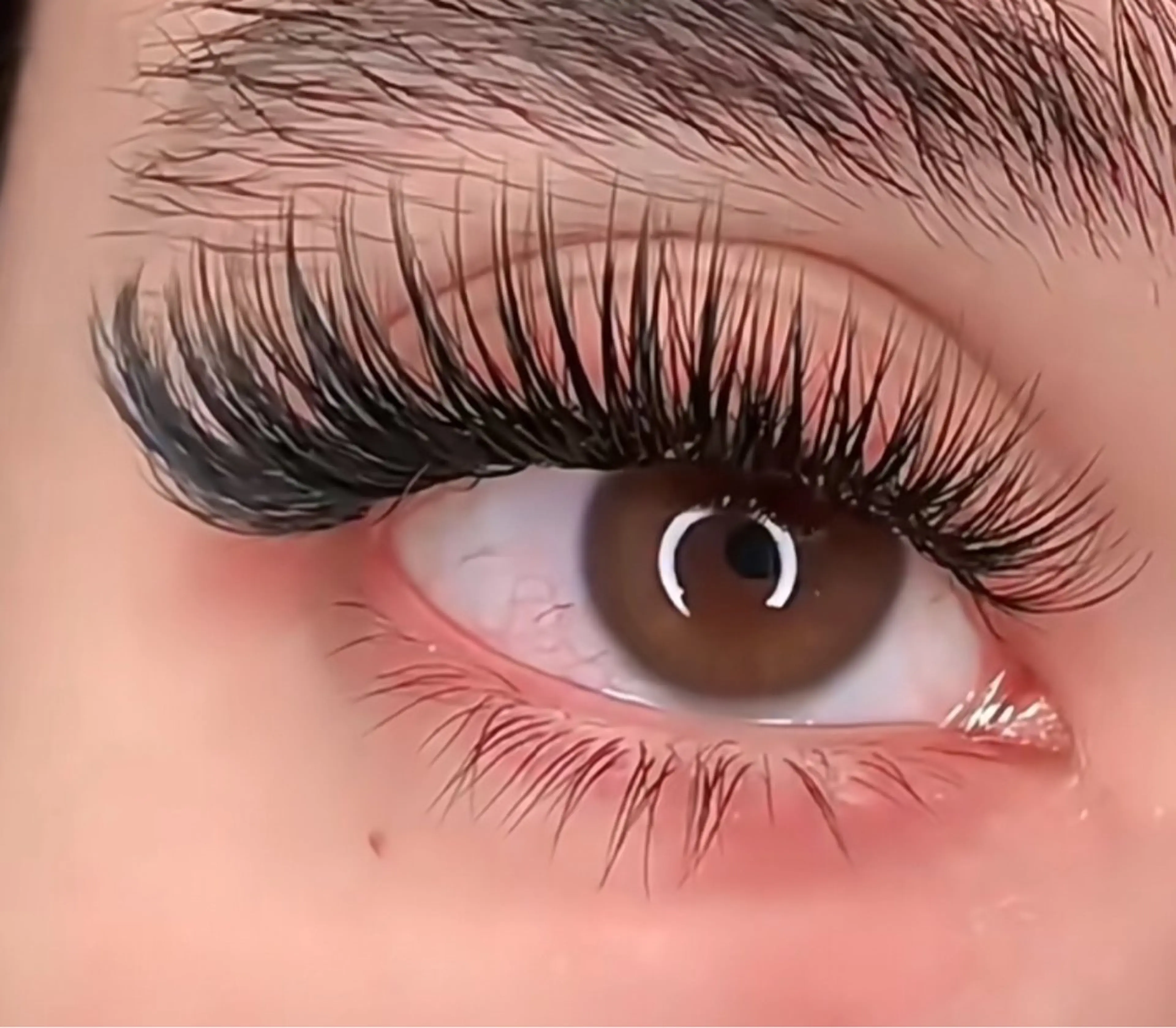 アメリカ風【LED】　6D、8D ボリューム  800本の写真