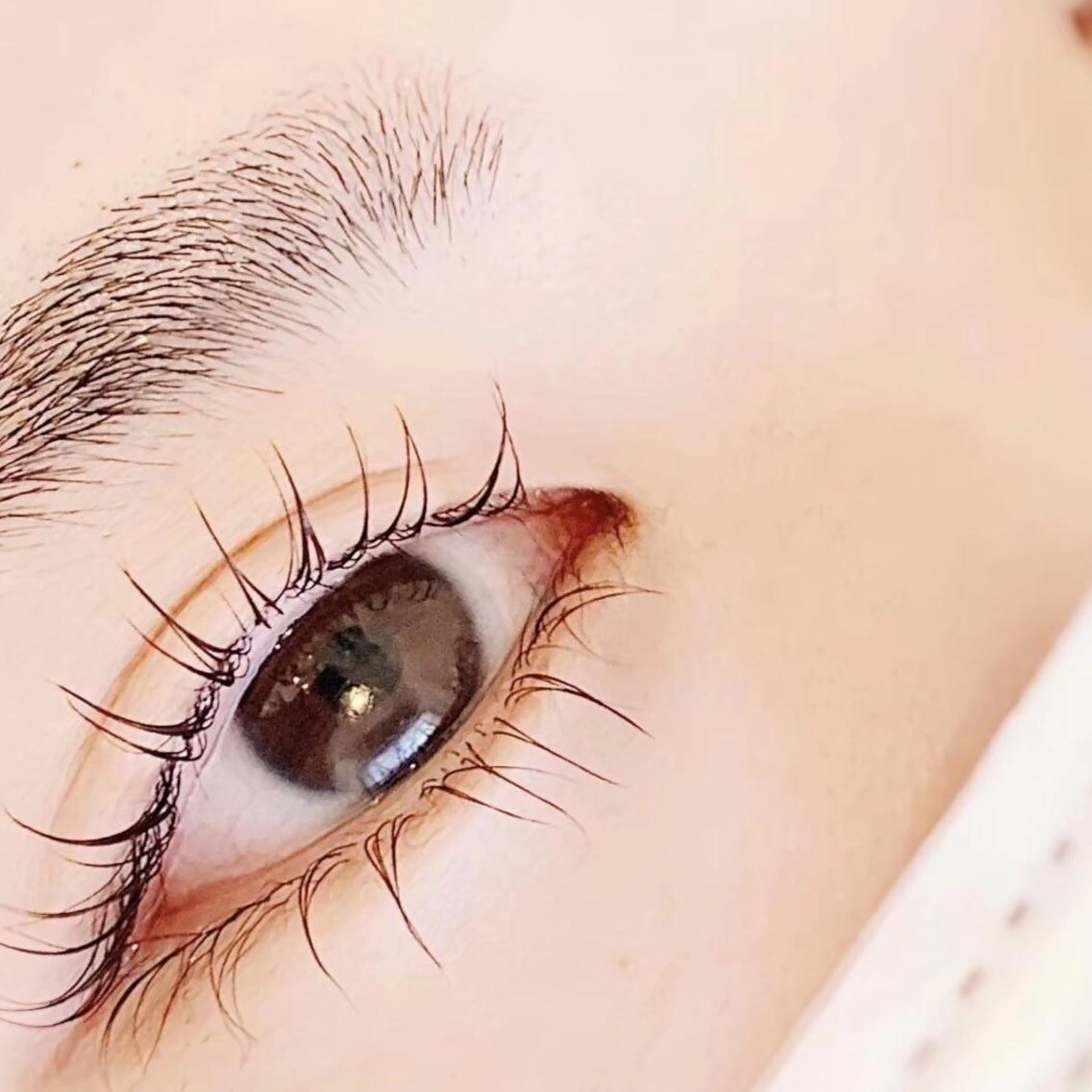 マツエク・マツパ 下まつげエクステ 一重×まつ毛パーマ マツパ Appeler 加藤　真比呂のマツエク・マツパデザイン