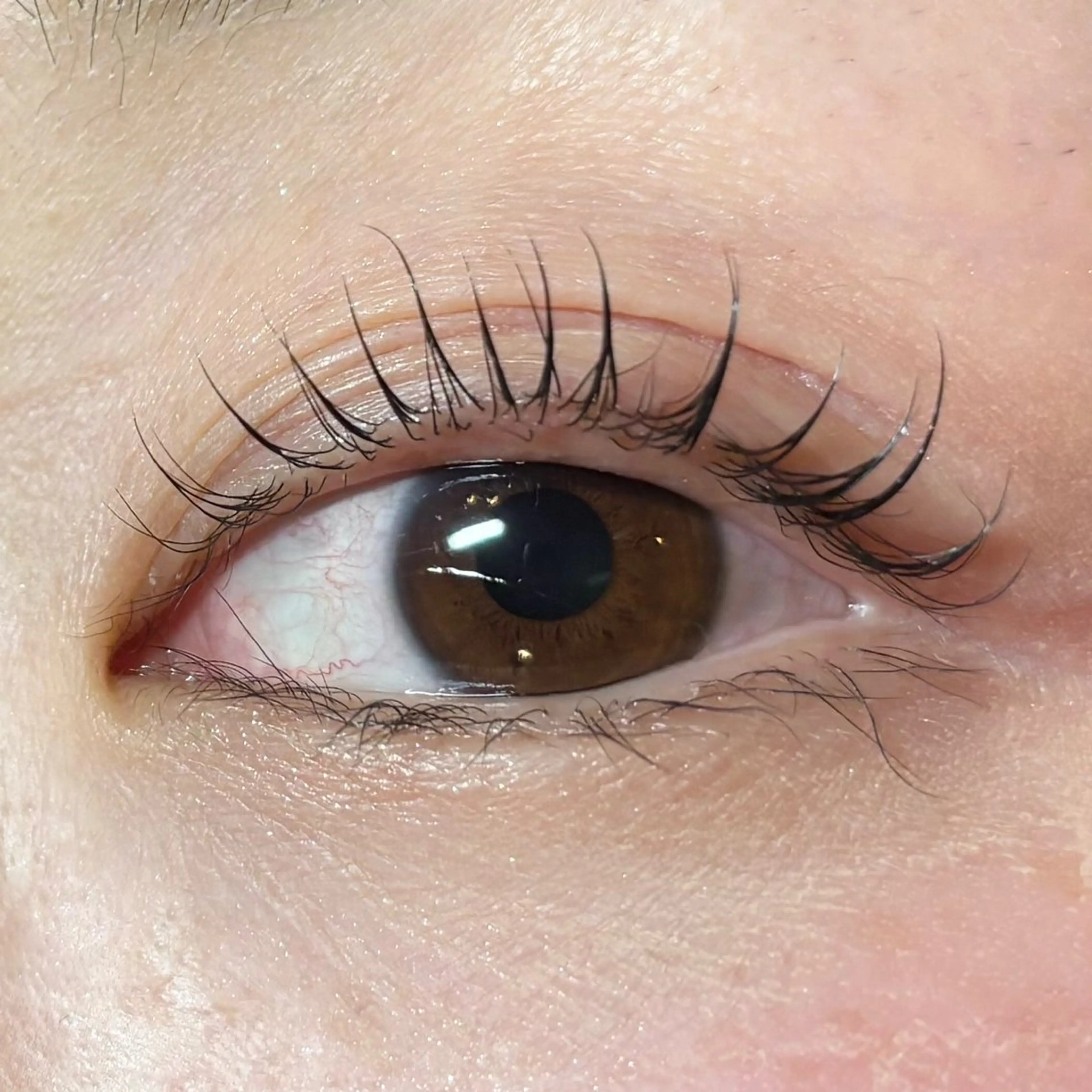 マツエク・マツパ naitre 🌼SHIORI🌼のマツエク・マツパデザイン