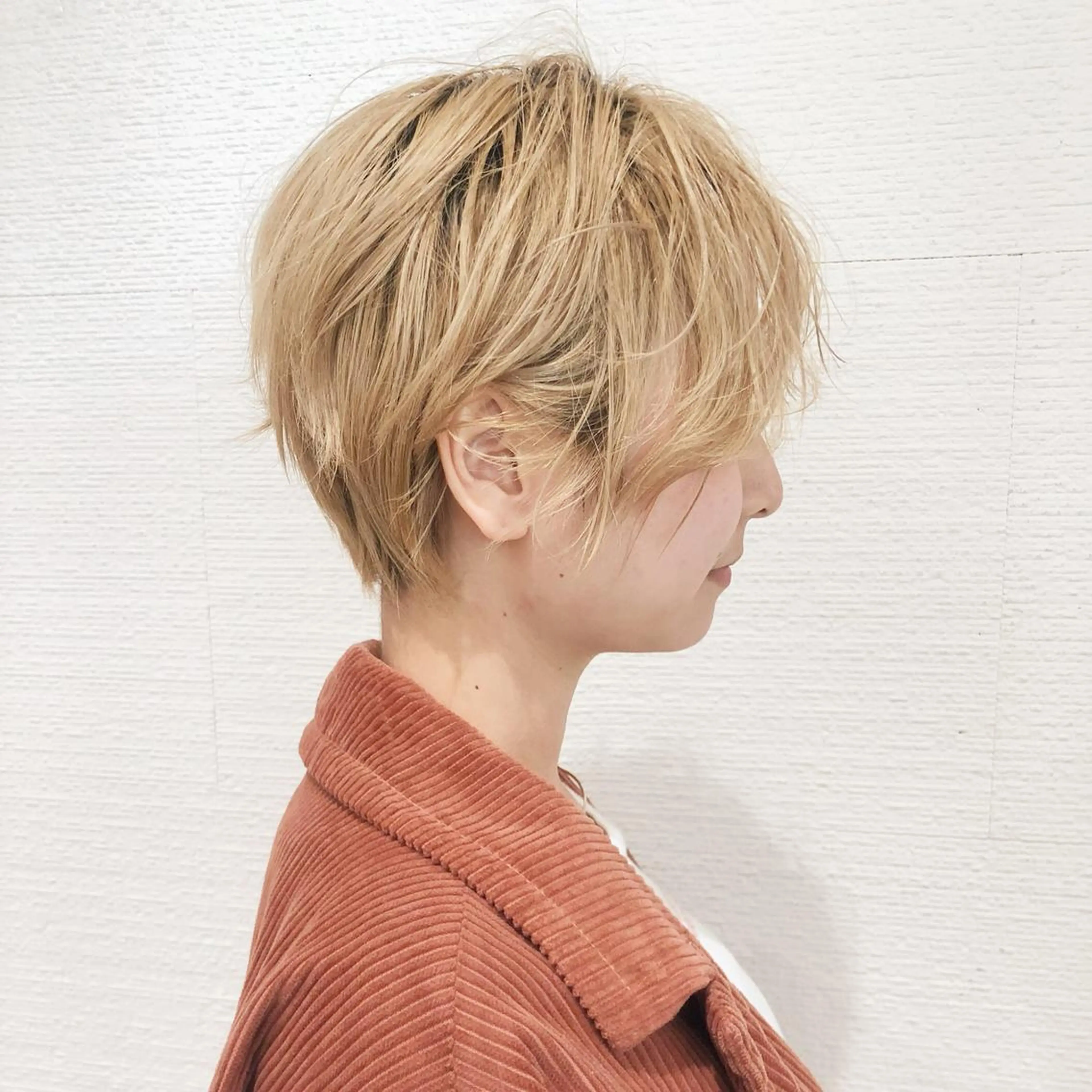 ショート ショート/ボブ/ 白髪ぼかし/しんやのヘアスタイル