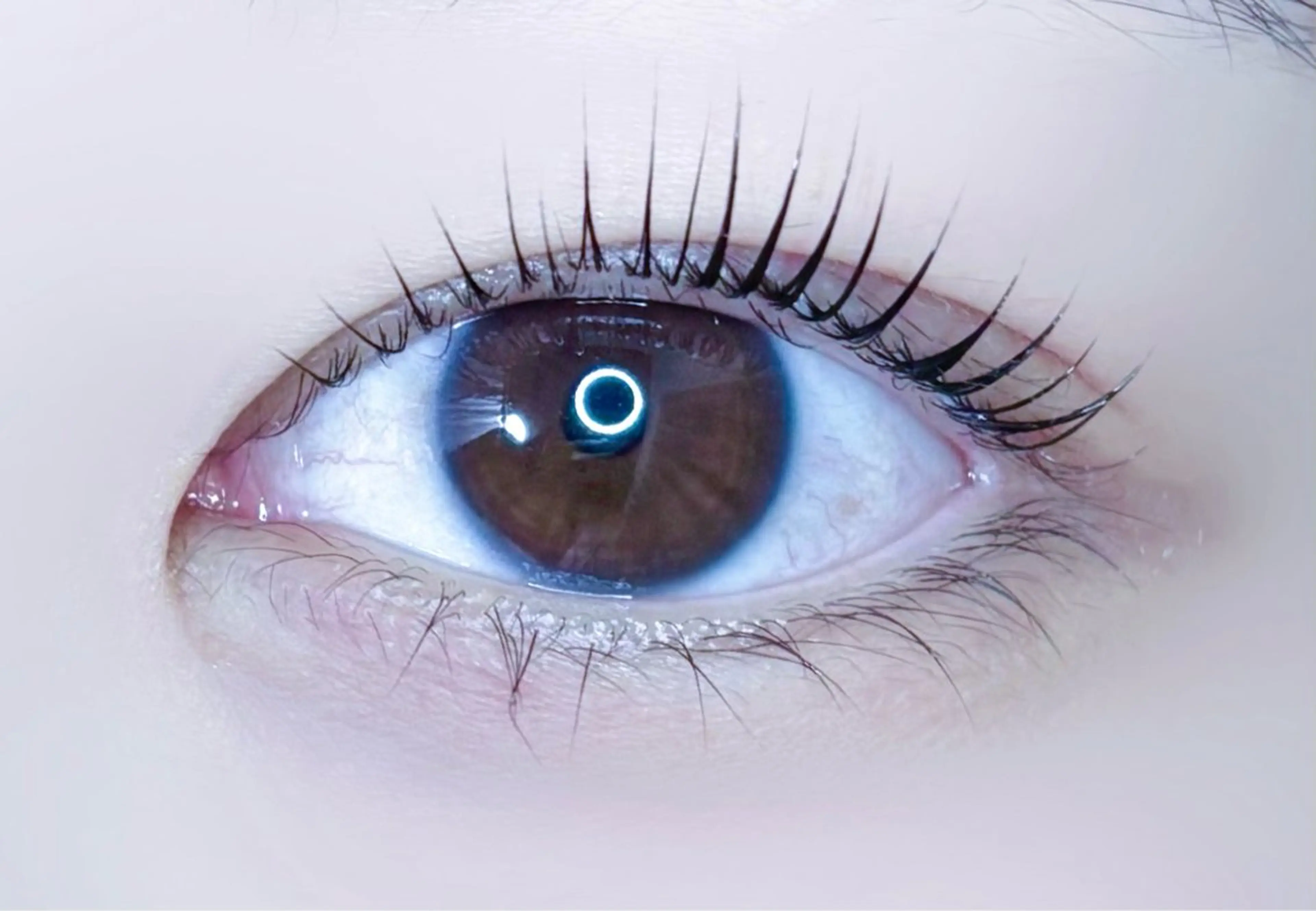 マツエク・マツパ マツパ bloom miyuのマツエク・マツパデザイン