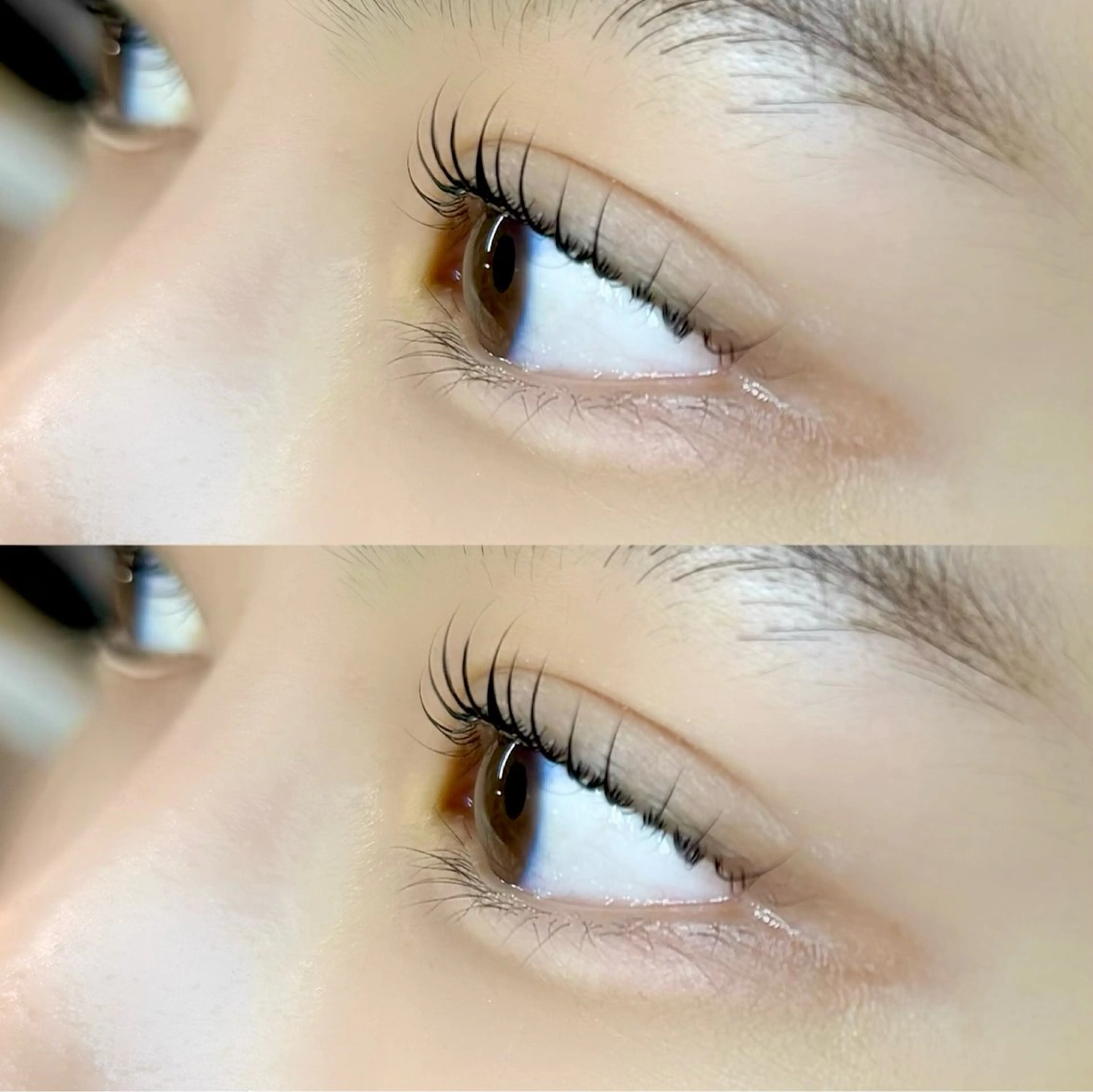 マツエク・マツパ palemoon ancetre所属・palemoon🤍 natsumiのマツエク・マツパデザイン