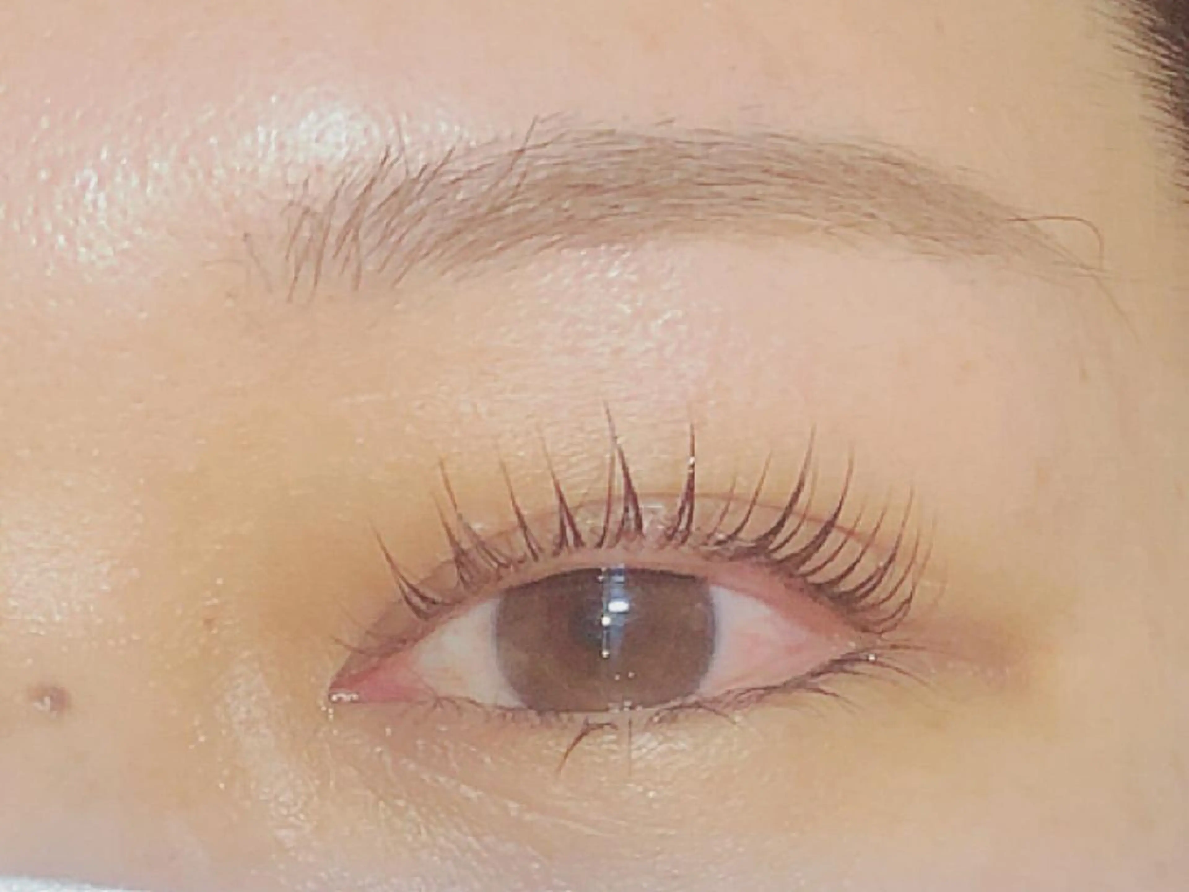 マツエク・マツパ パリジェンヌラッシュリフト 和田 真弥の眉毛・アイブロウイメージ