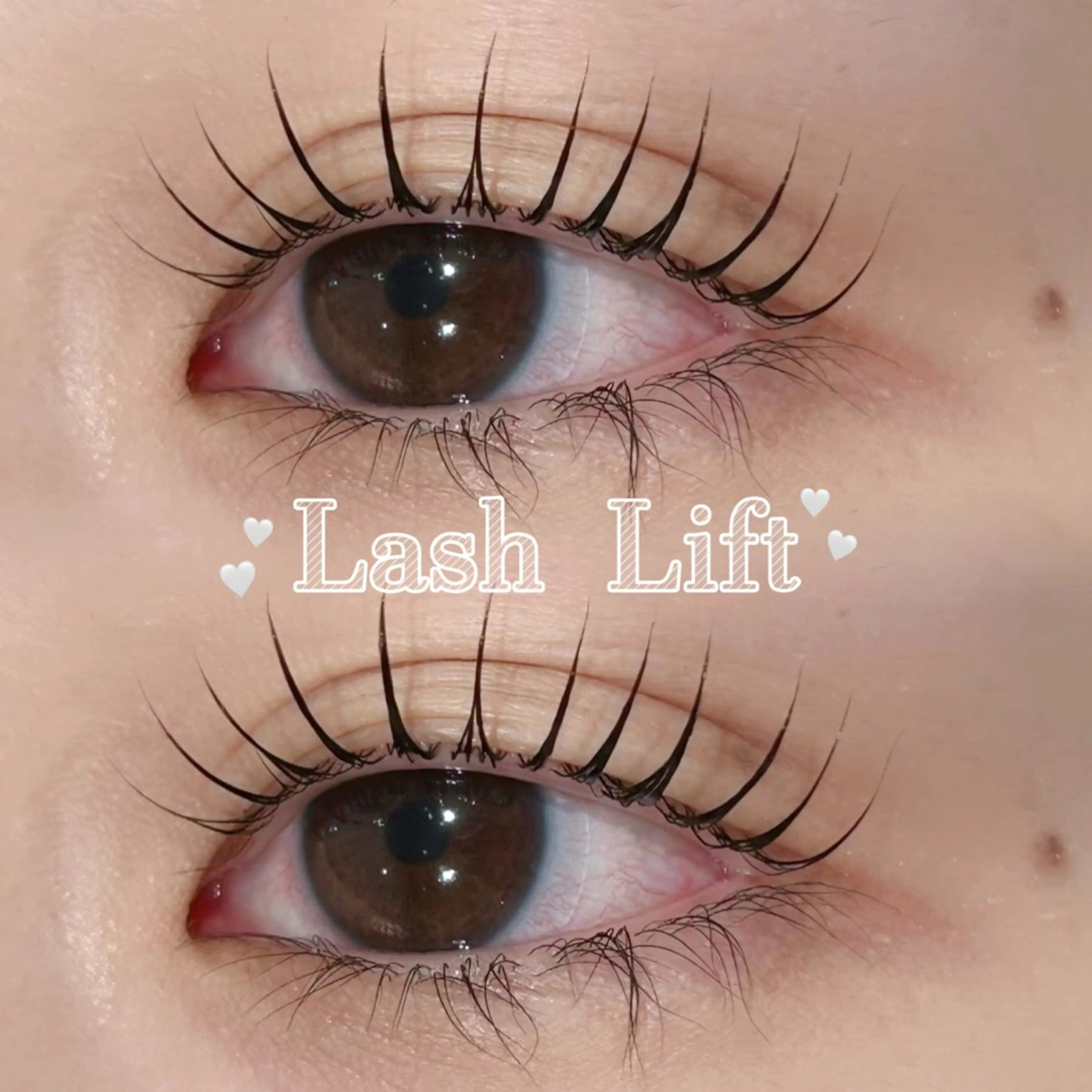 ‪꒰ トリートメント・アイシャンプー付き🧴 ꒱‬ラッシュリフト🐻‍❄️の写真