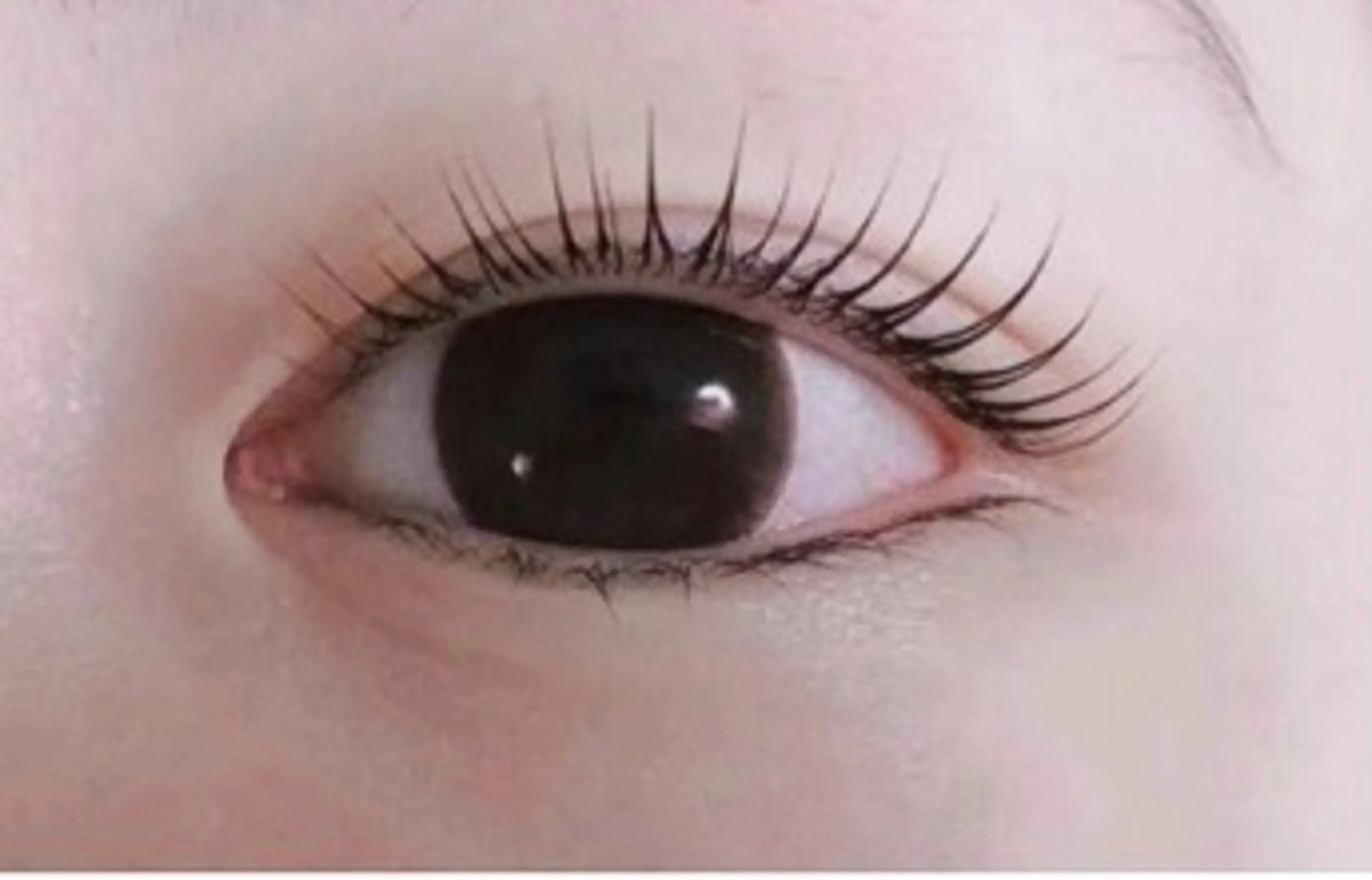 次世代まつ毛パーマ(束感美容液付き)の写真