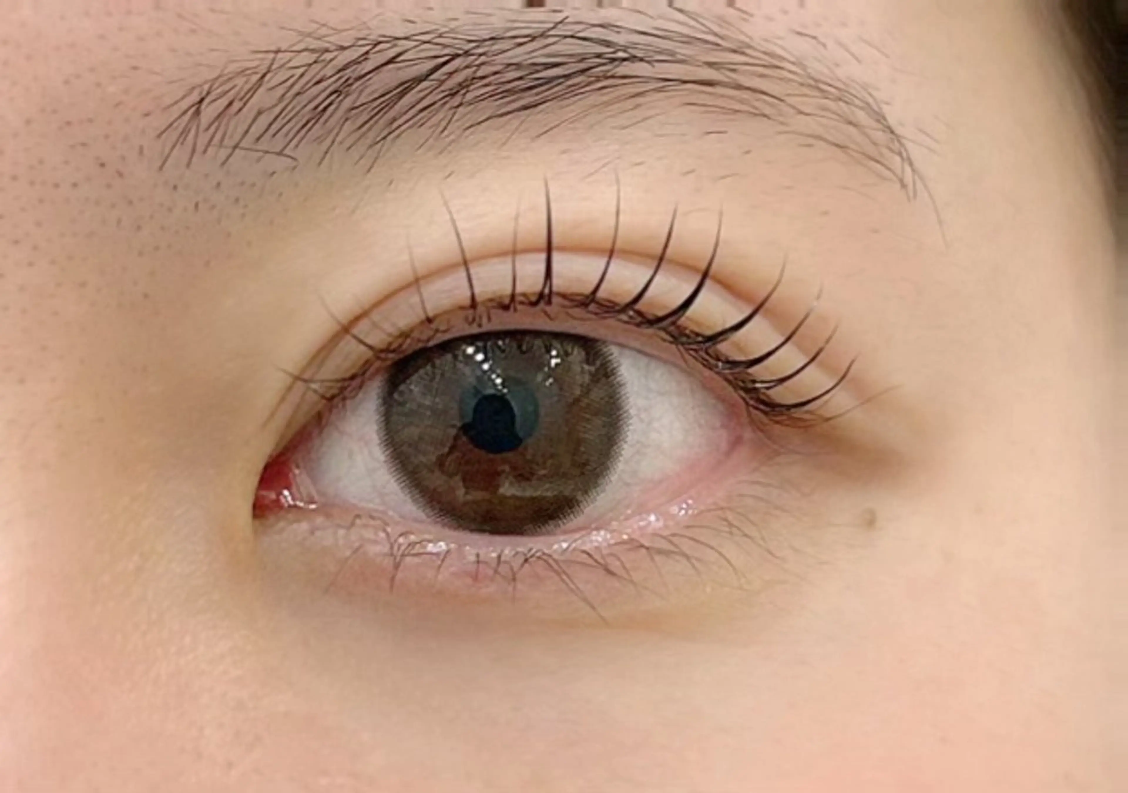 ミニモ限定まつげパーマ☆ リピーター様限定ケラチントリートメント付　お支払いは現金でお願いいたします🤲の写真