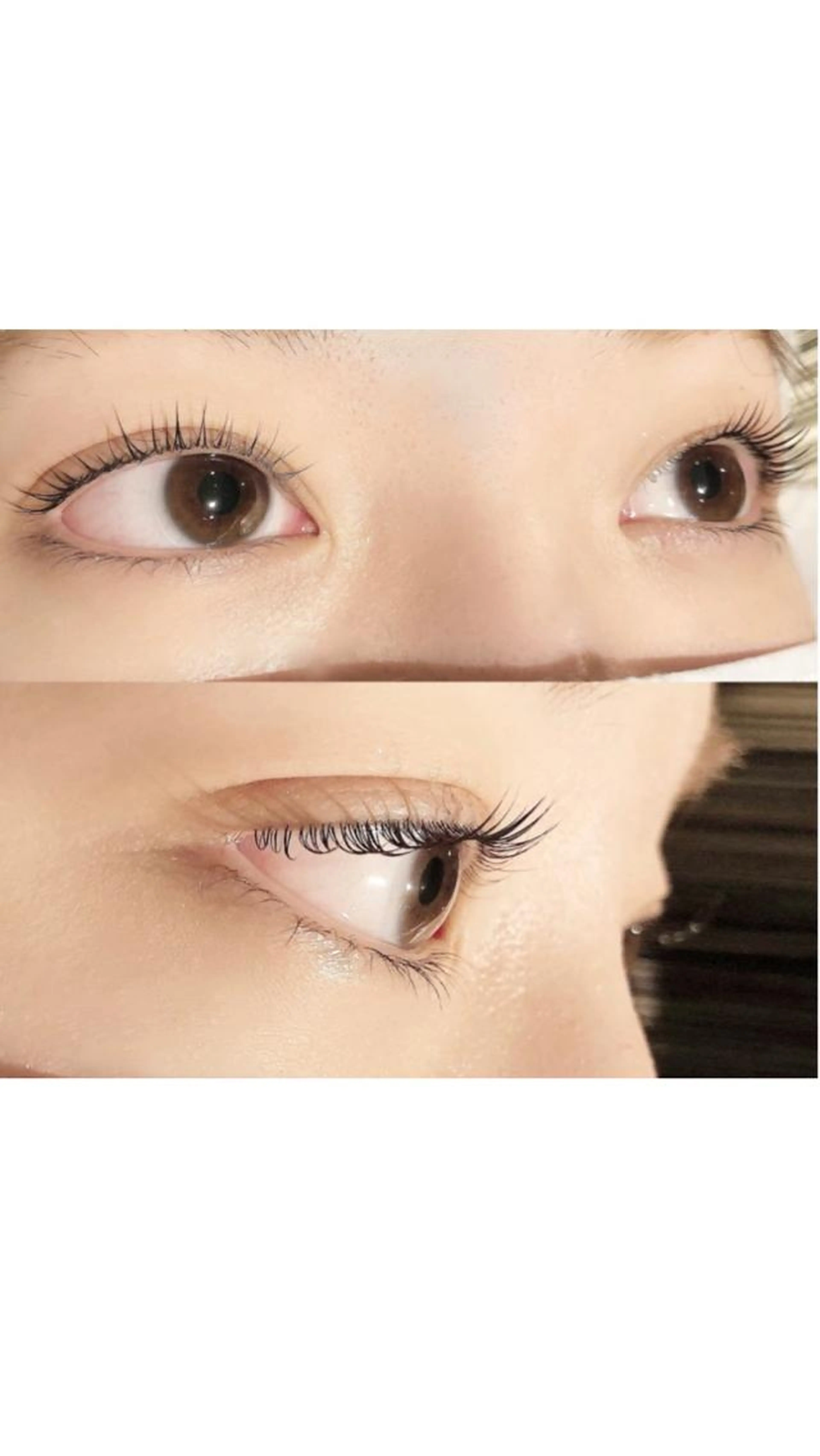 【🌱ラッシリフト★上下★】仕上げTR❤︎の写真