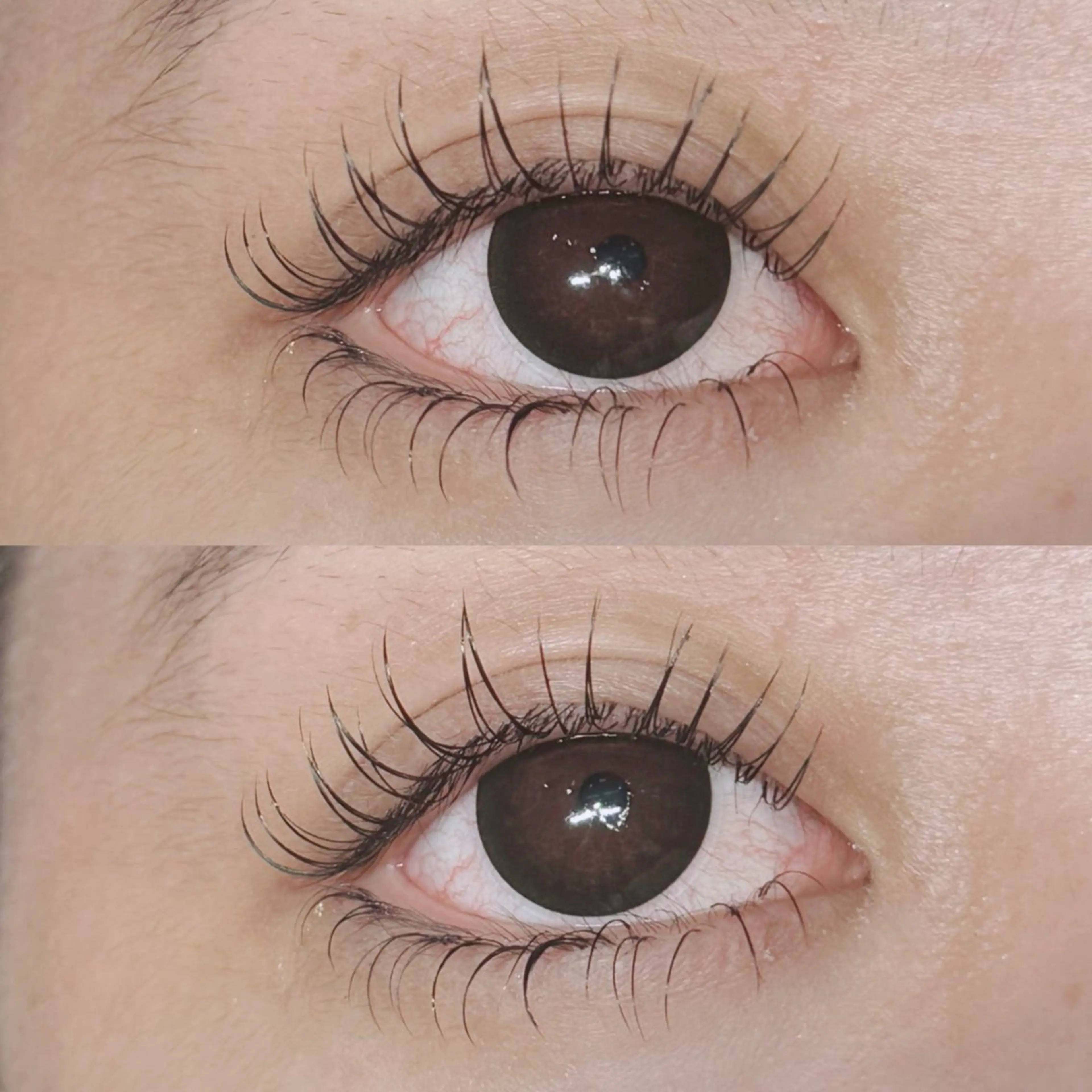 マツエク・マツパ LUCY 心斎橋 / 岸本のマツエク・マツパデザイン