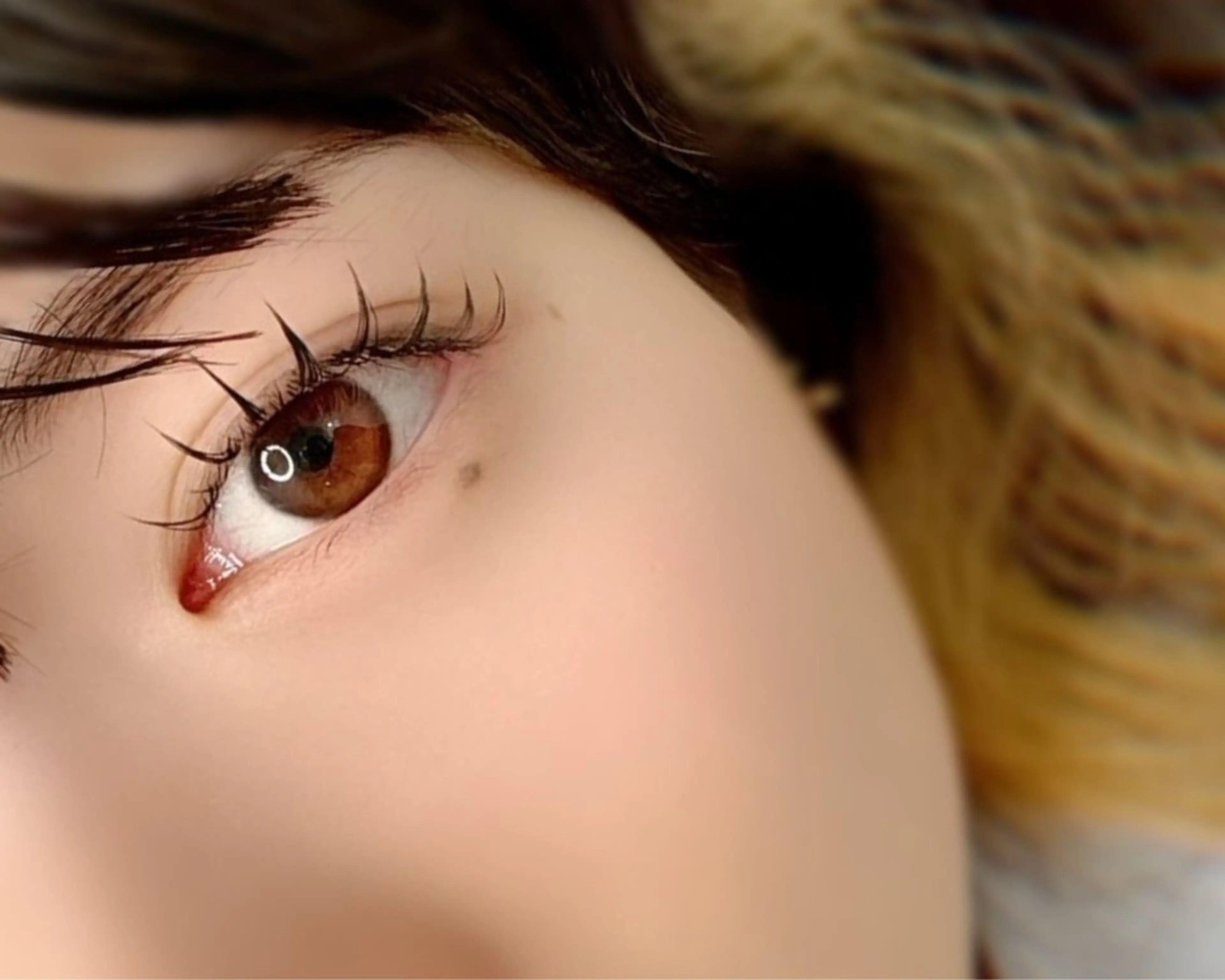 【ミニモ限定】💙💛easyワンホン【 パーマ✖️シングルエクステ60本 】コーティング付の写真