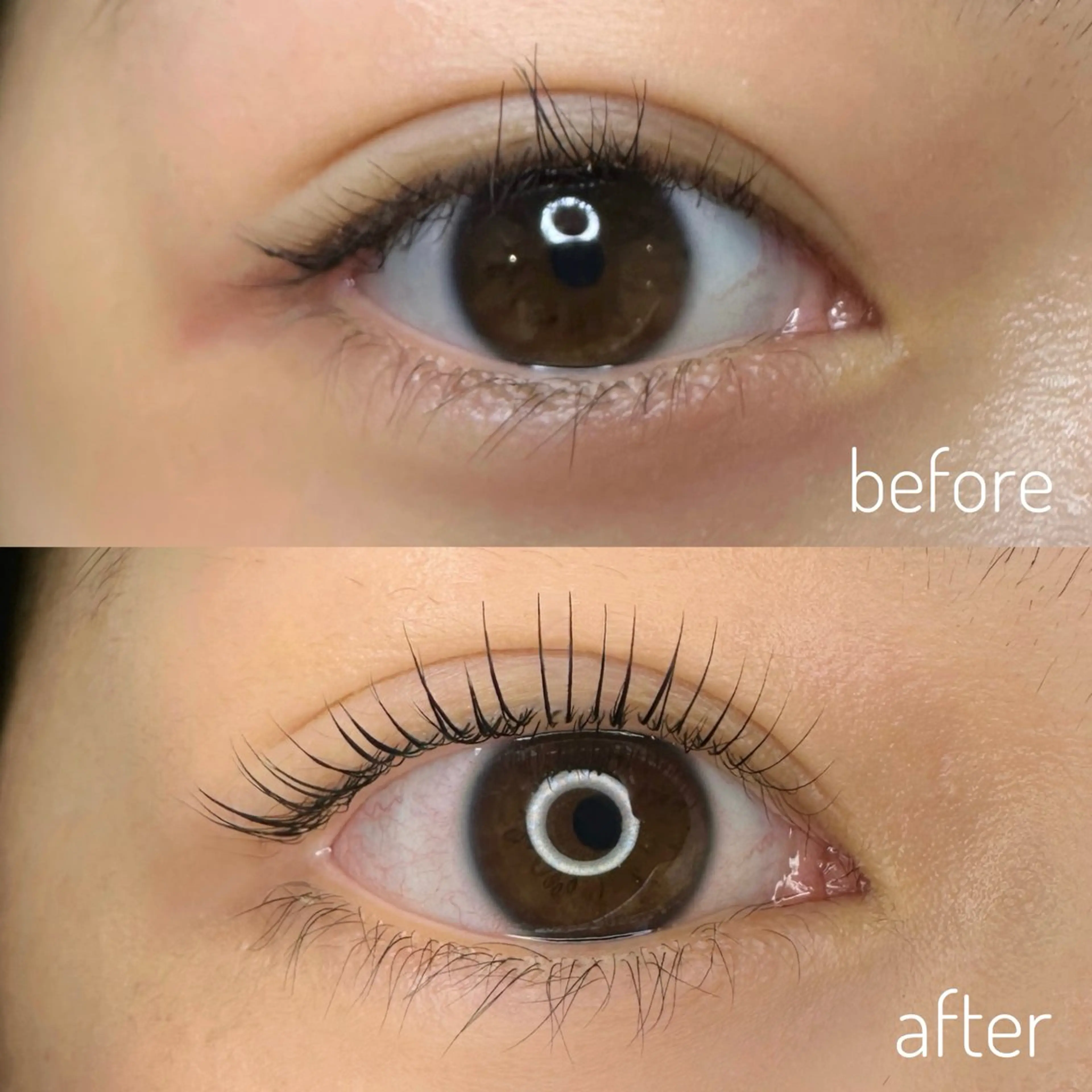 マツエク・マツパ マツパ Lily's ®️enaのマツエク・マツパデザイン