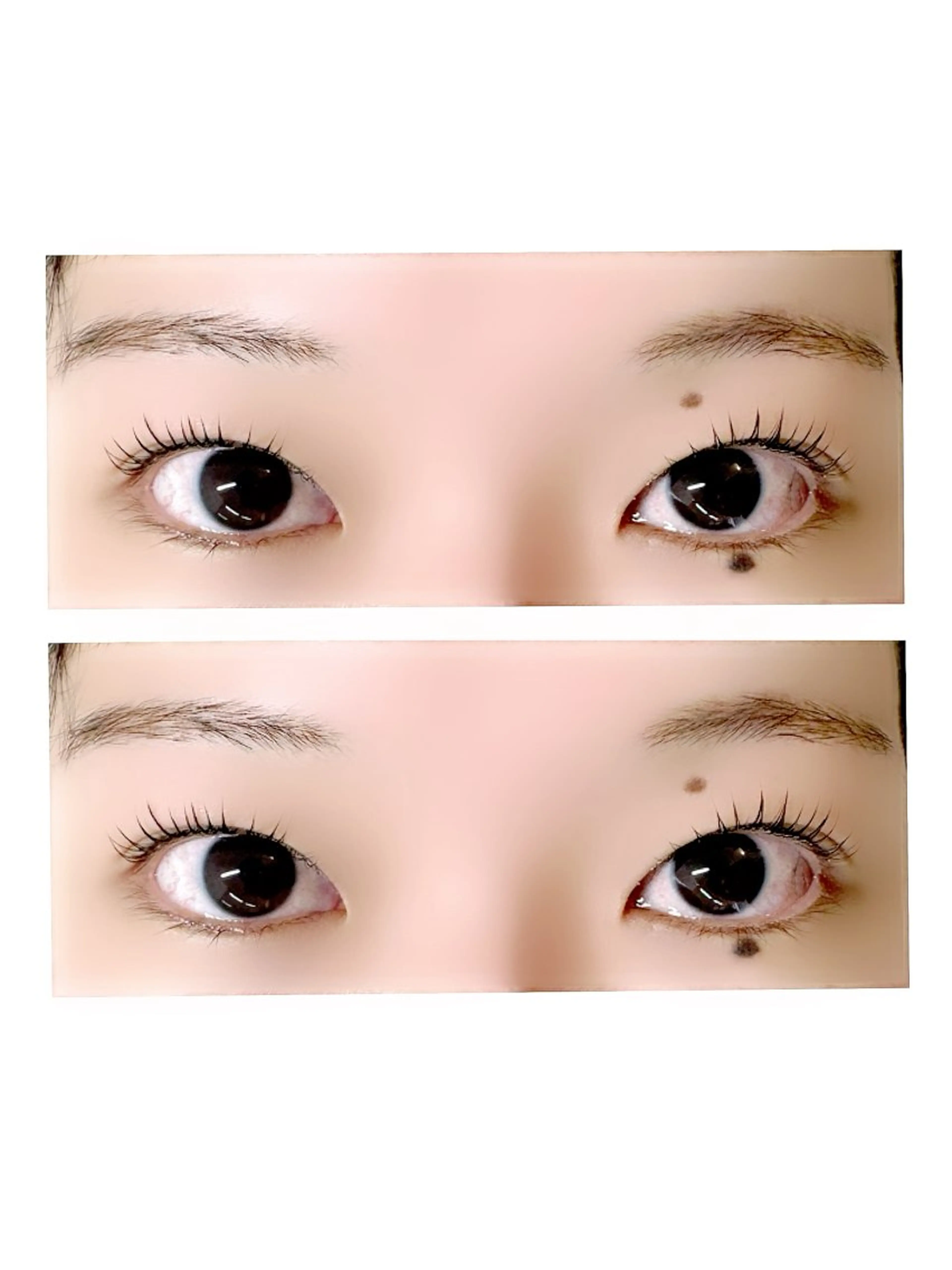 パーマ マツパ alice tokyo 髙橋★の眉毛・アイブロウイメージ