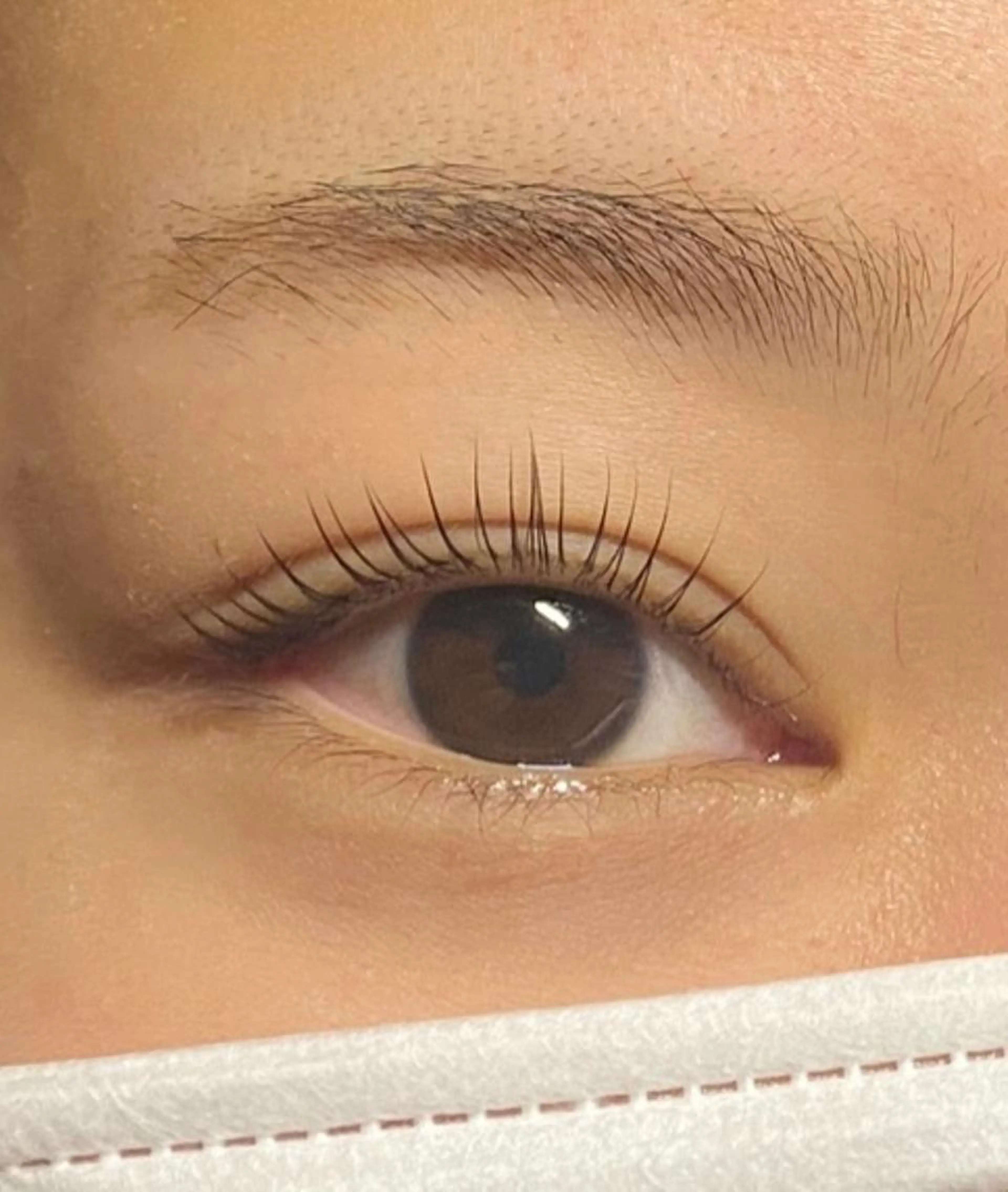 12／29限定！まつ毛パーマ！の写真