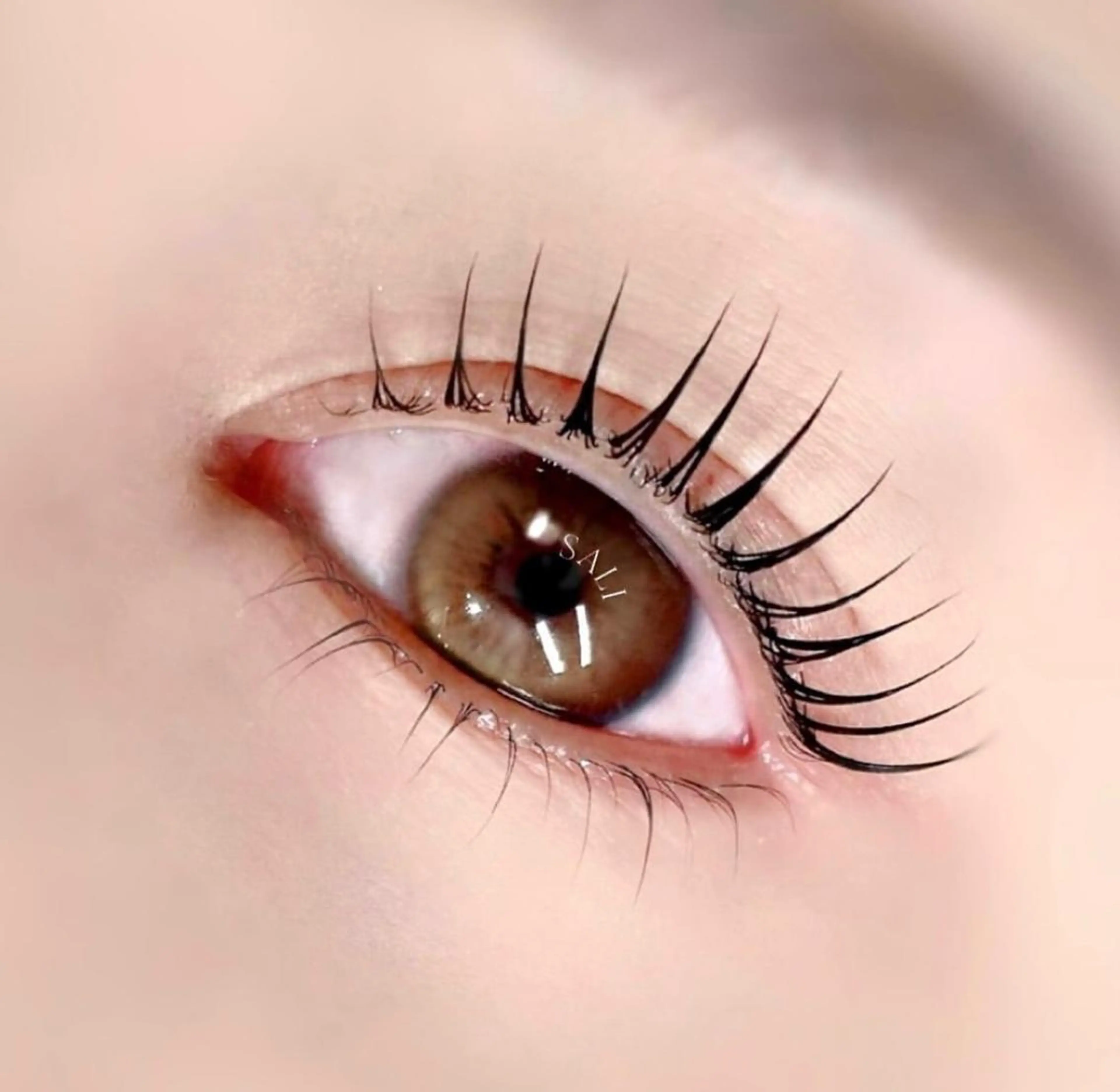 マツエク・マツパ 韓国風マツエク 一重×まつ毛パーマ マツパ 次世代まつ毛パーマ 上野御徒町店のマツエク・マツパデザイン