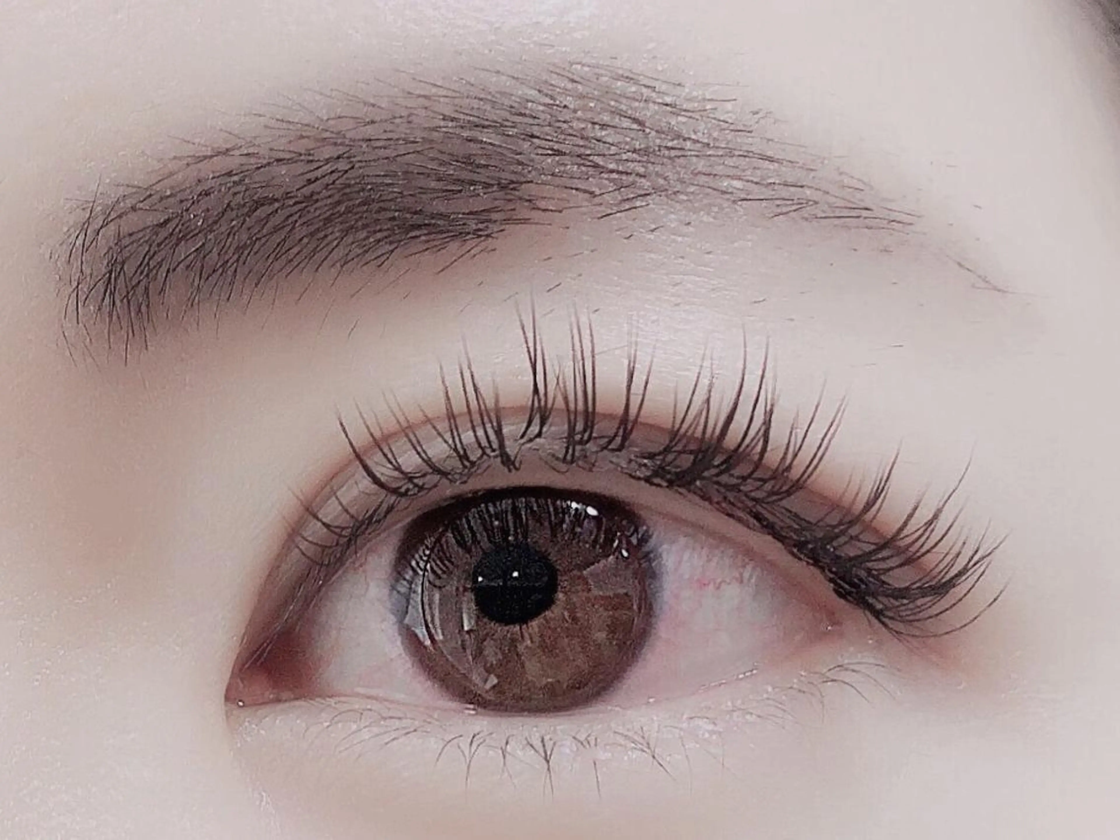 マツエク・マツパ フラットラッシュ Prink 渡邉美紀のエステ・リラクイメージ