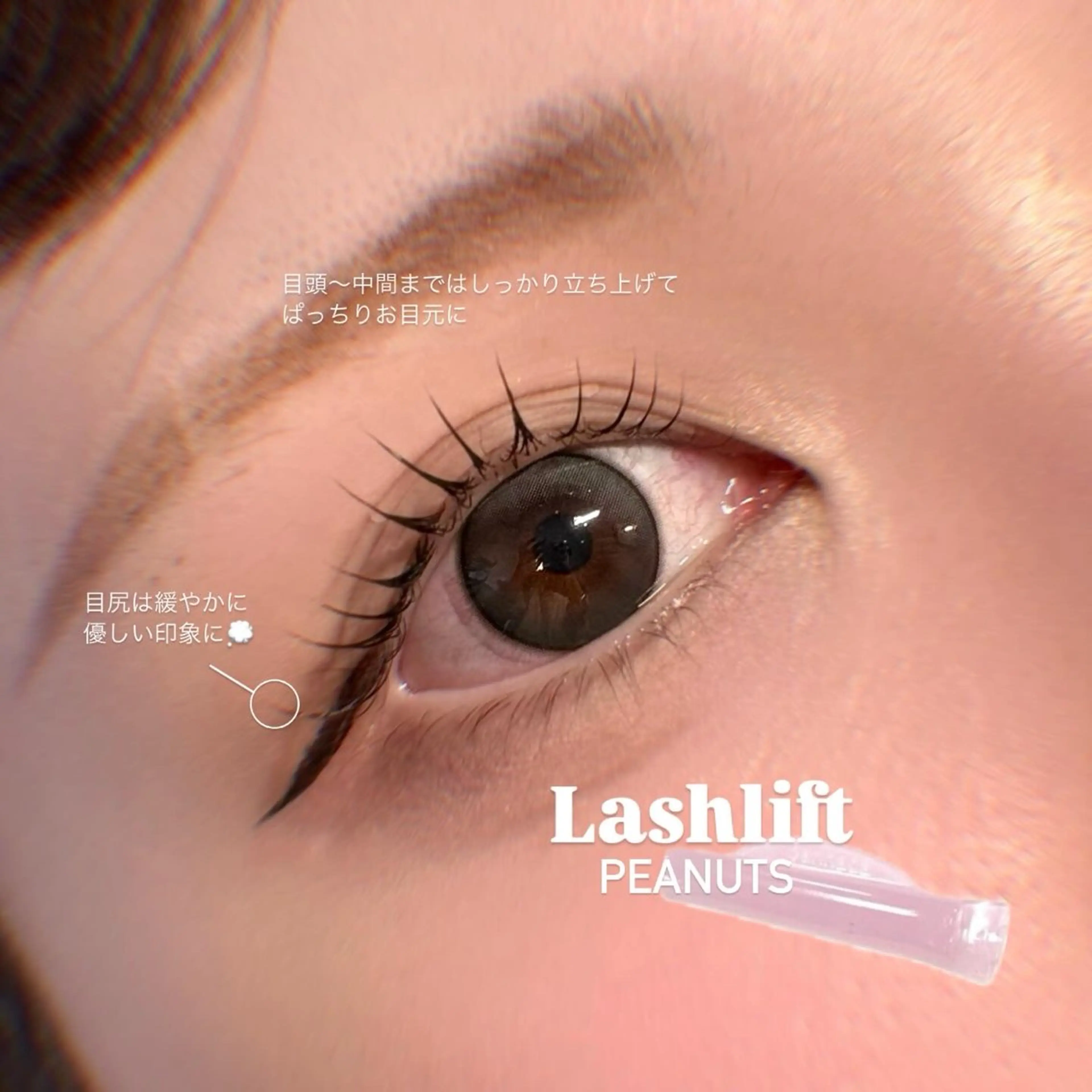 マツエク・マツパ 束感まつ毛 韓国風マツエク パリジェンヌラッシュリフト まつげパーマ 一重×まつ毛パーマ マツパ téa. -eyeroom-所属・téa. reina/表参道のマツエク・マツパデザイン