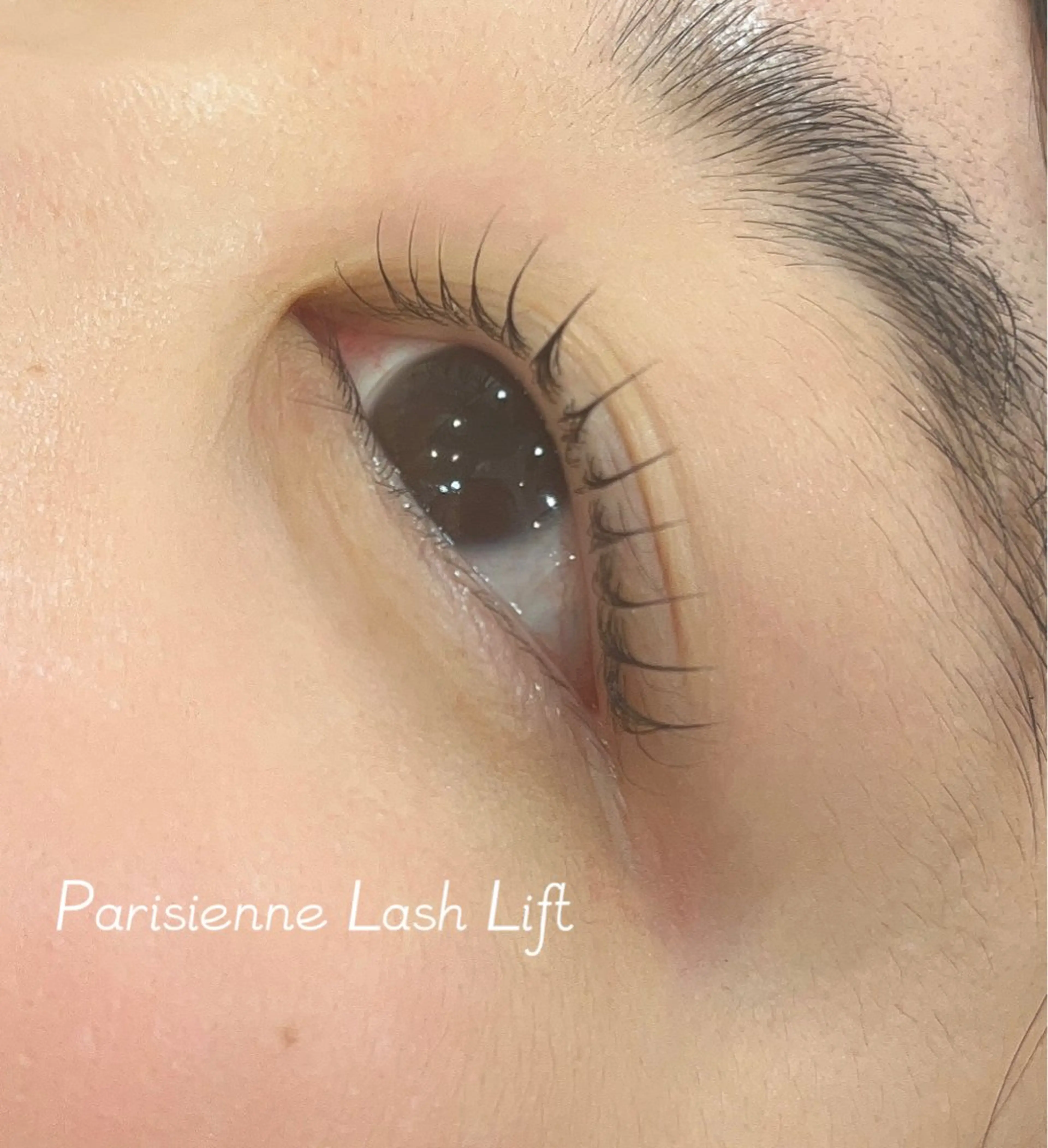 🤍パリジェンヌラッシュリフト🤍の写真