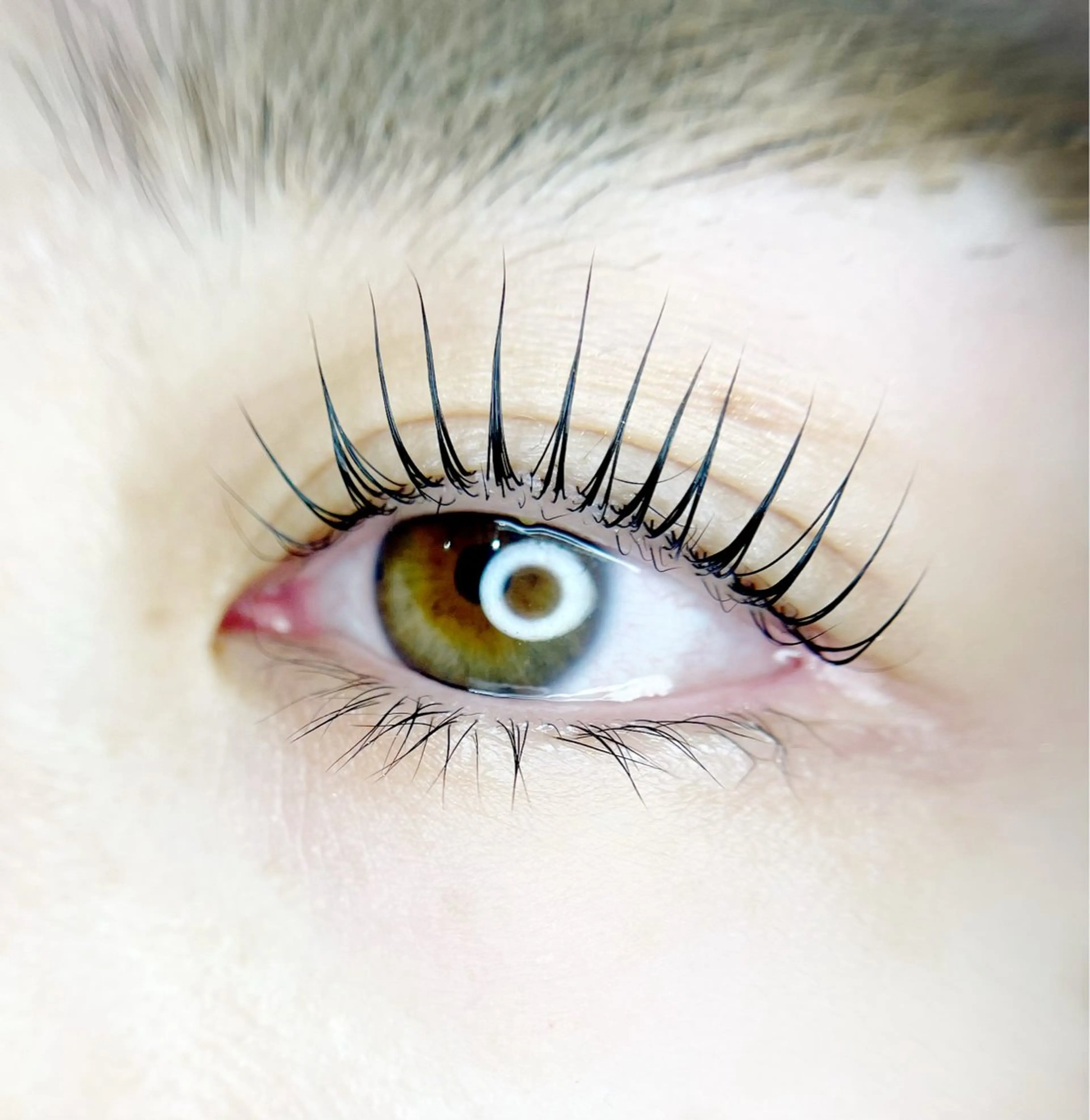 5分前来店必須！！新規平日数量限定🌻パリジェンヌラッシュリフトorデザインまつ毛パーマの写真