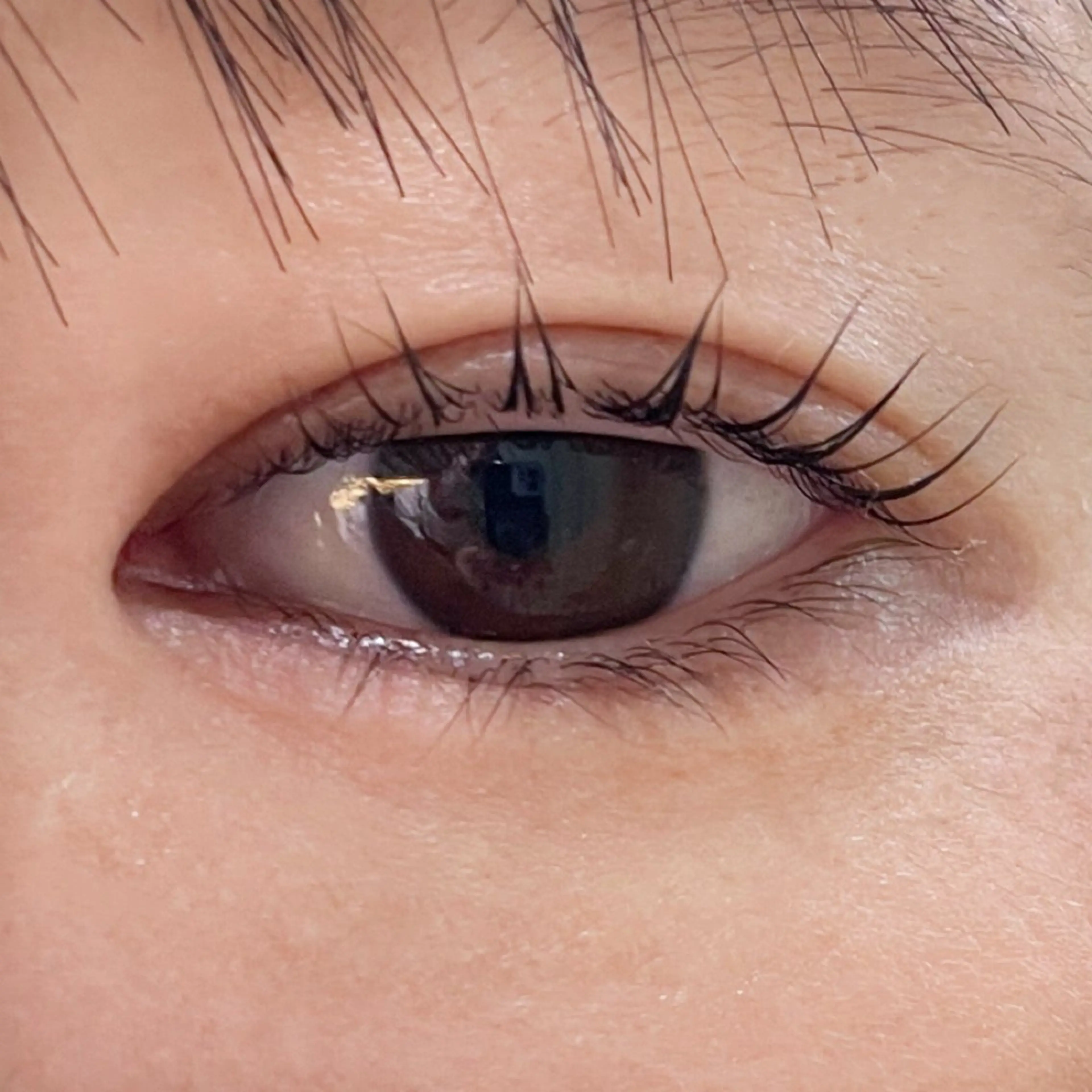 マツエク・マツパ マツパ 櫻井 怜華のマツエク・マツパデザイン