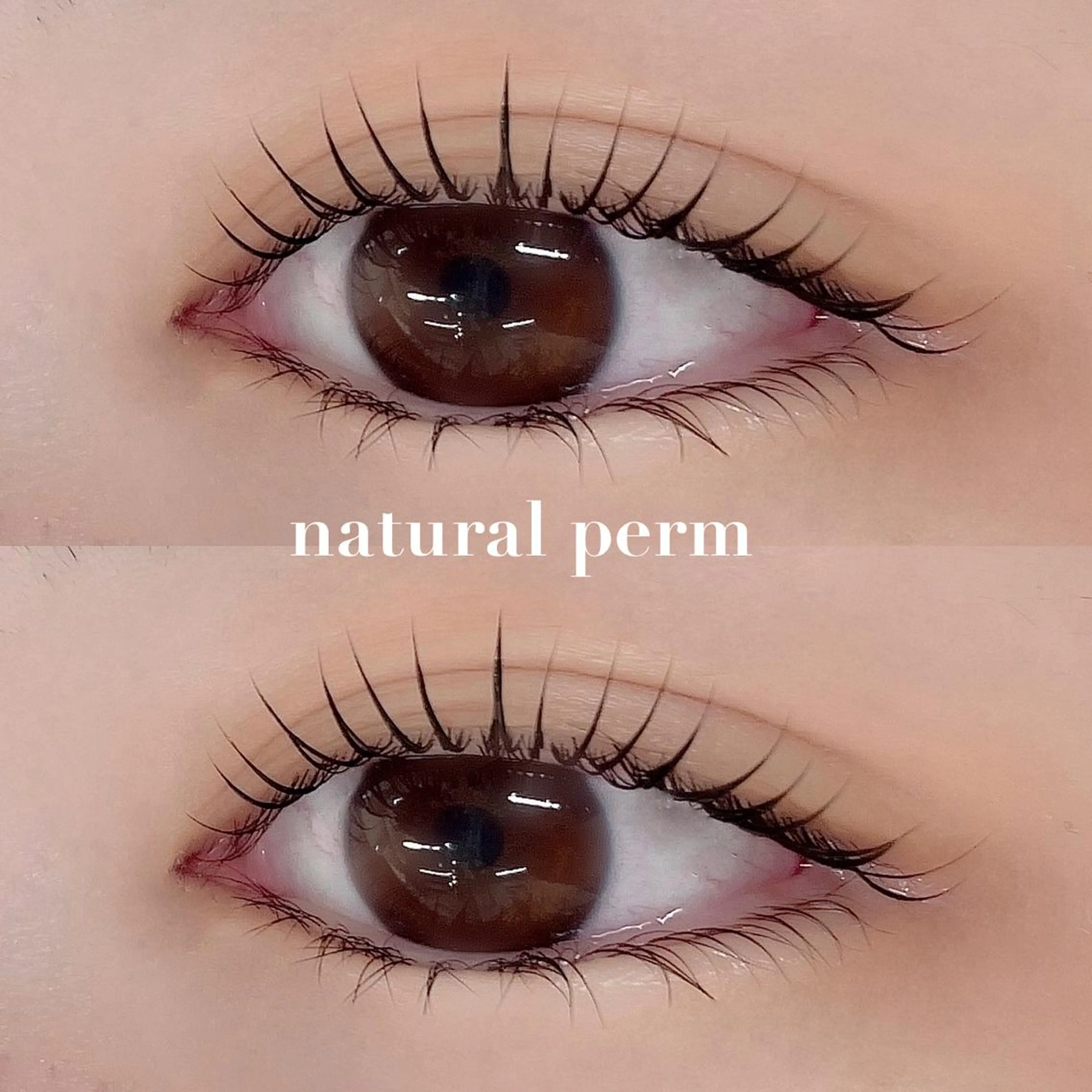 マツエク・マツパ ナチュラル shuon 武蔵境店所属・【武蔵境店】工藤 さくらのマツエク・マツパデザイン