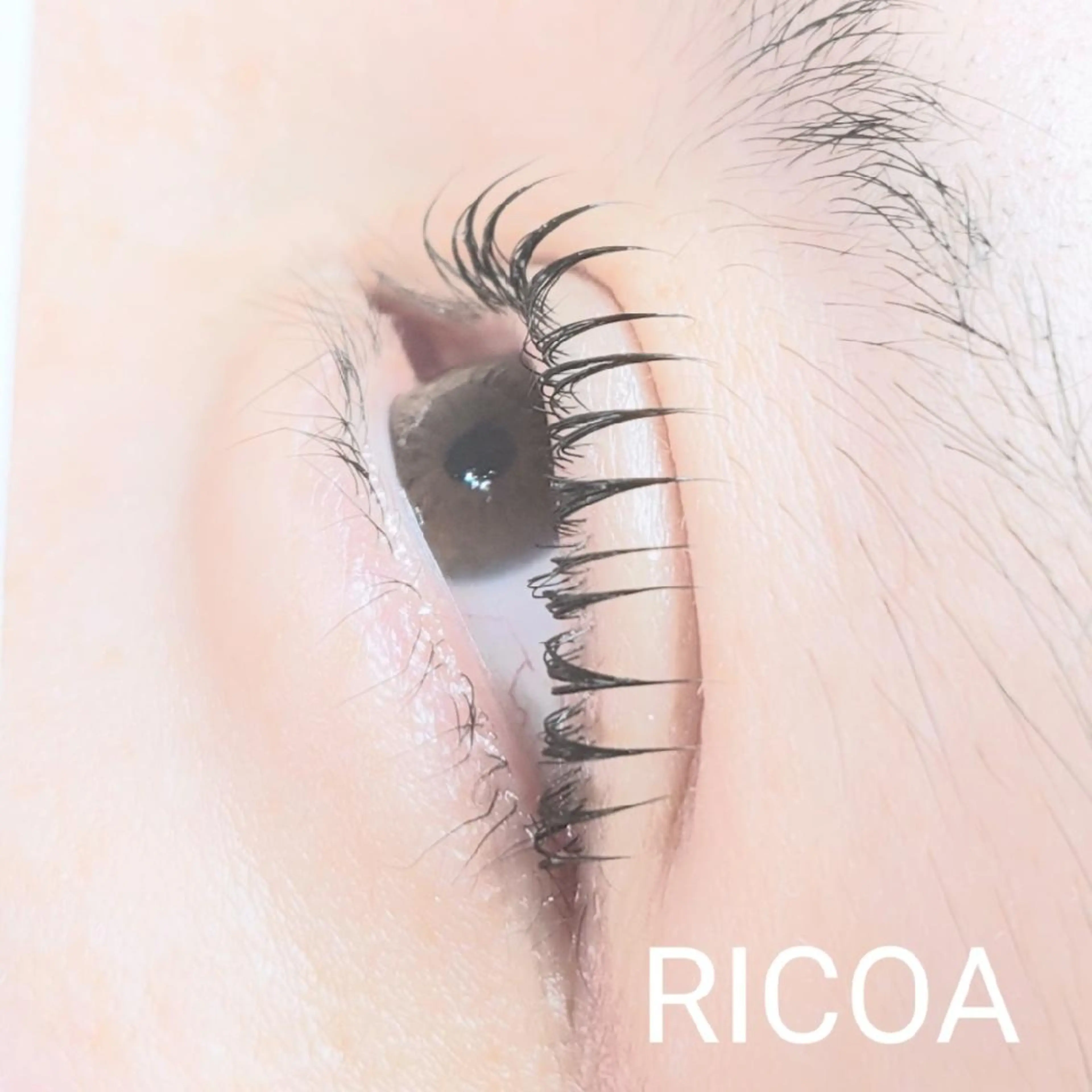 マツエク・マツパ 一重×まつ毛パーマ RICOA 酒井のマツエク・マツパデザイン