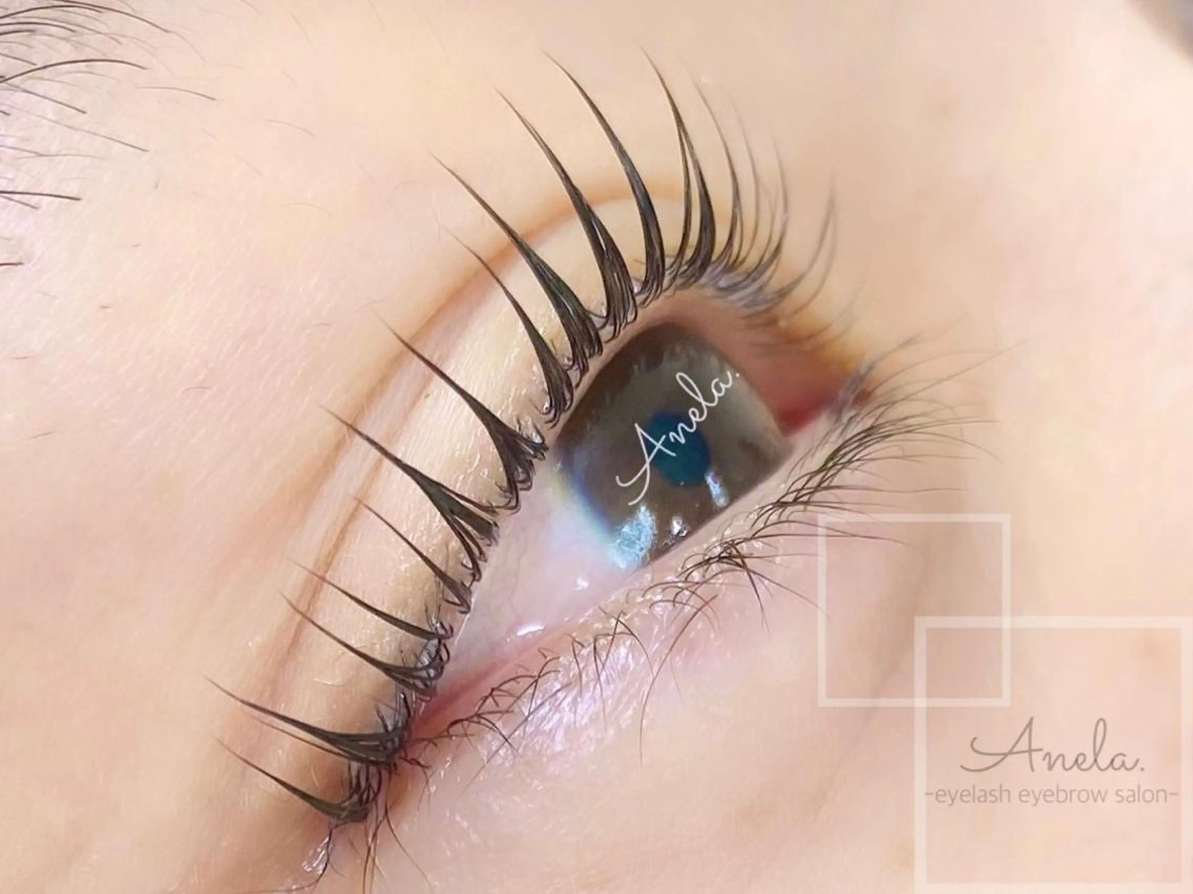 マツエク・マツパ マツパ Anela.所属・Anela./江坂/ ラッシュリフトのマツエク・マツパデザイン