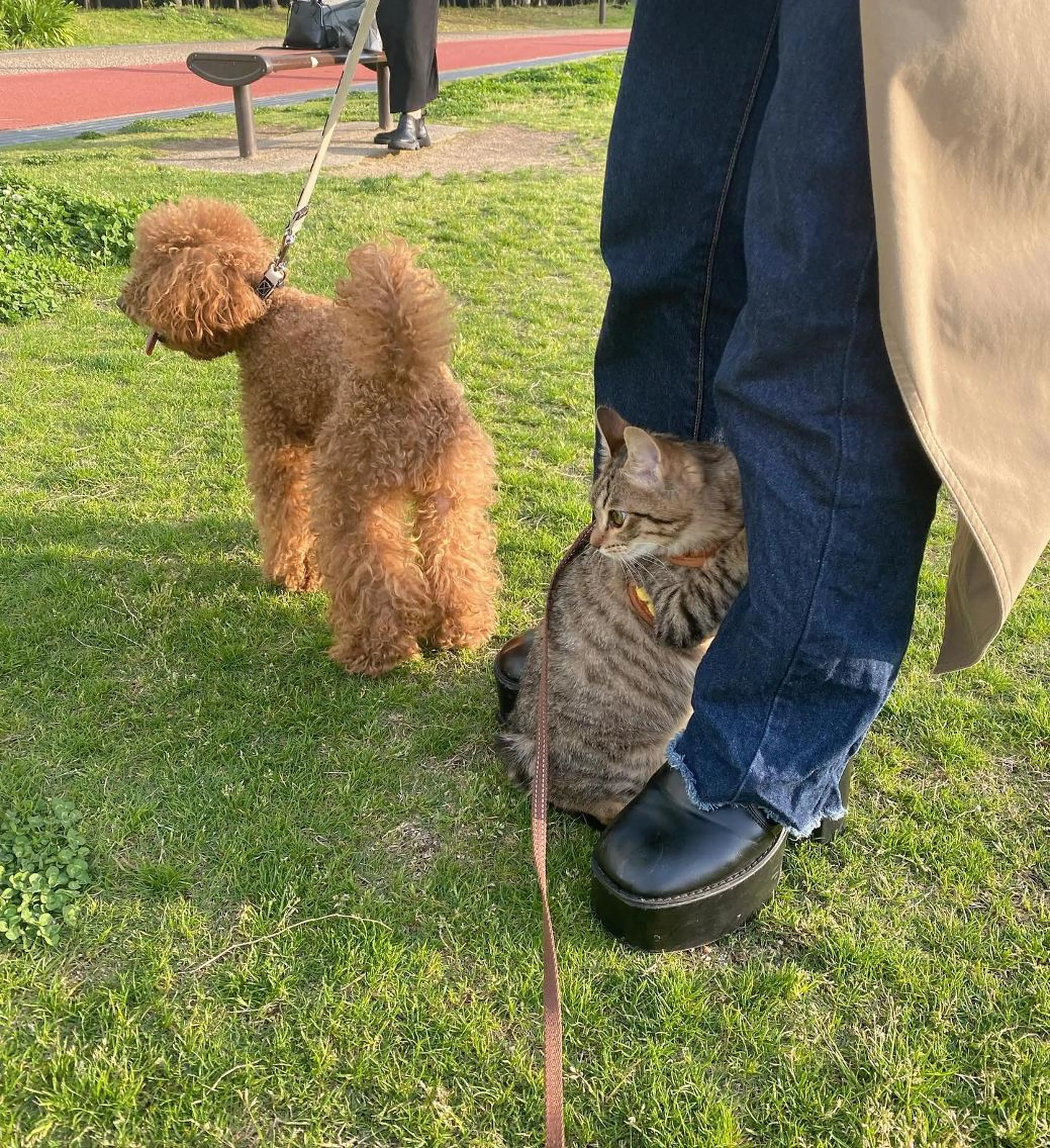 ミディアム カラー パーマ ヘアアレンジ メンズ 🩷Eny terrace🩷のヘアスタイル