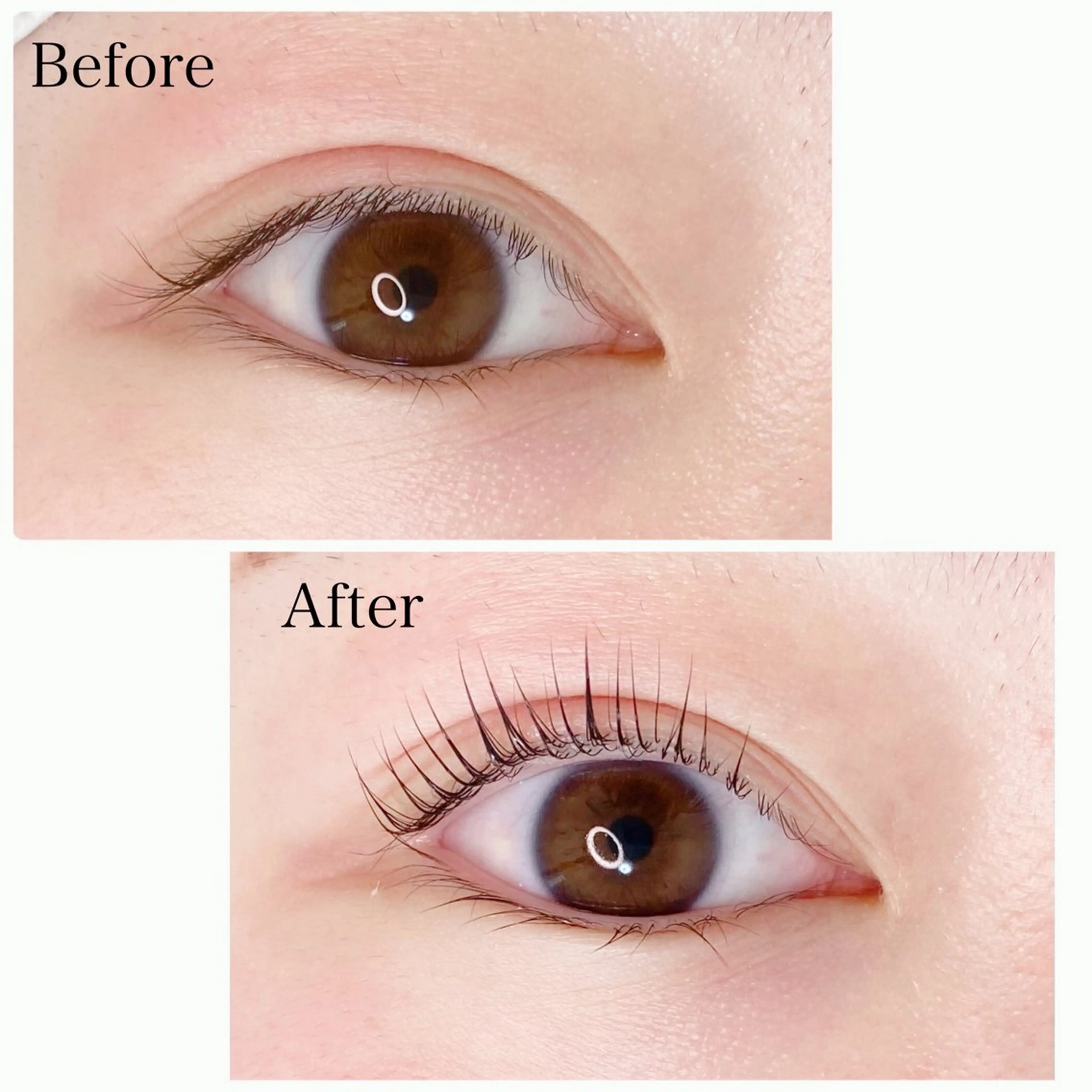 マツエク・マツパ マツパ Anne.eyelash所属・Anne. eyelashのマツエク・マツパデザイン