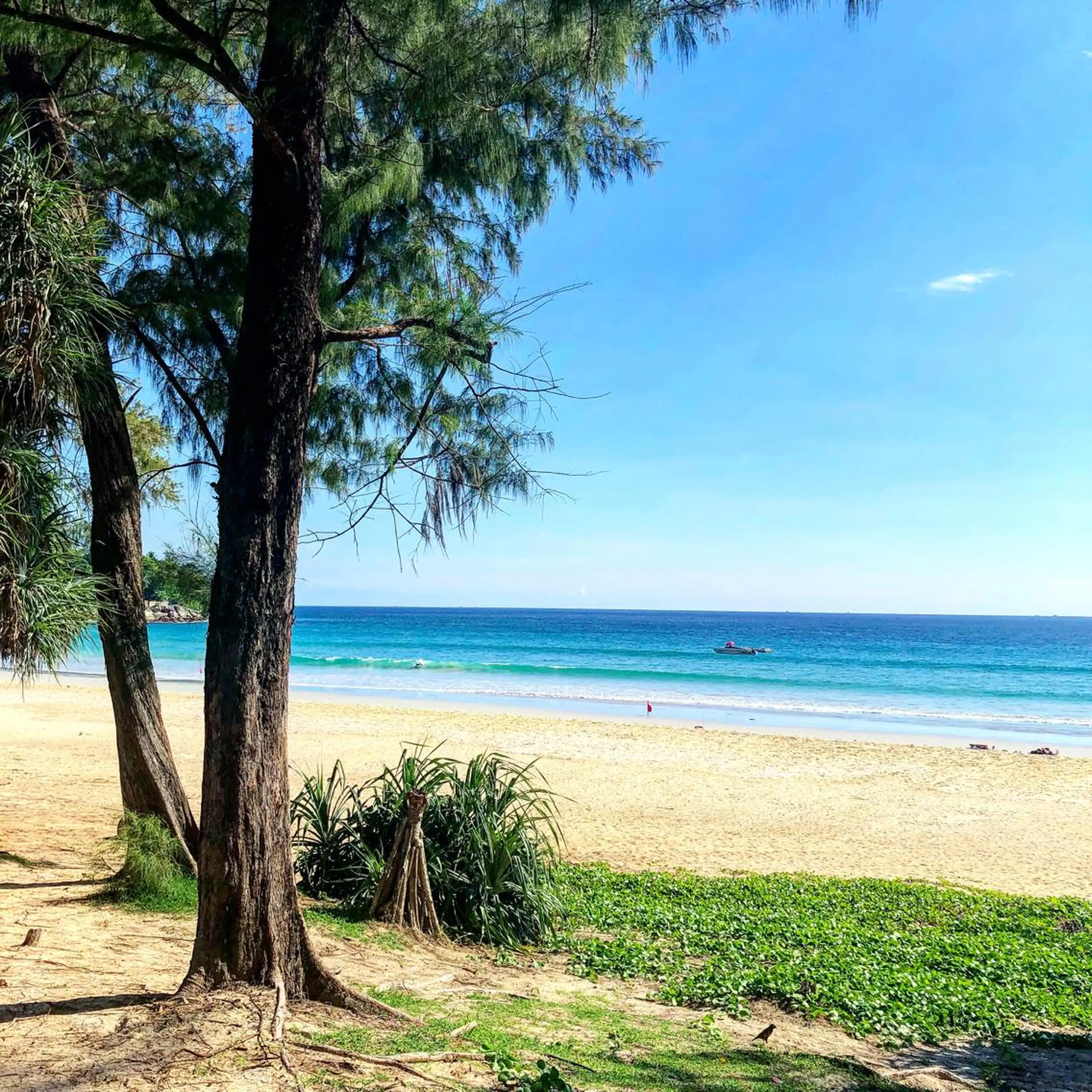 小濱 秀人のヘアスタイル