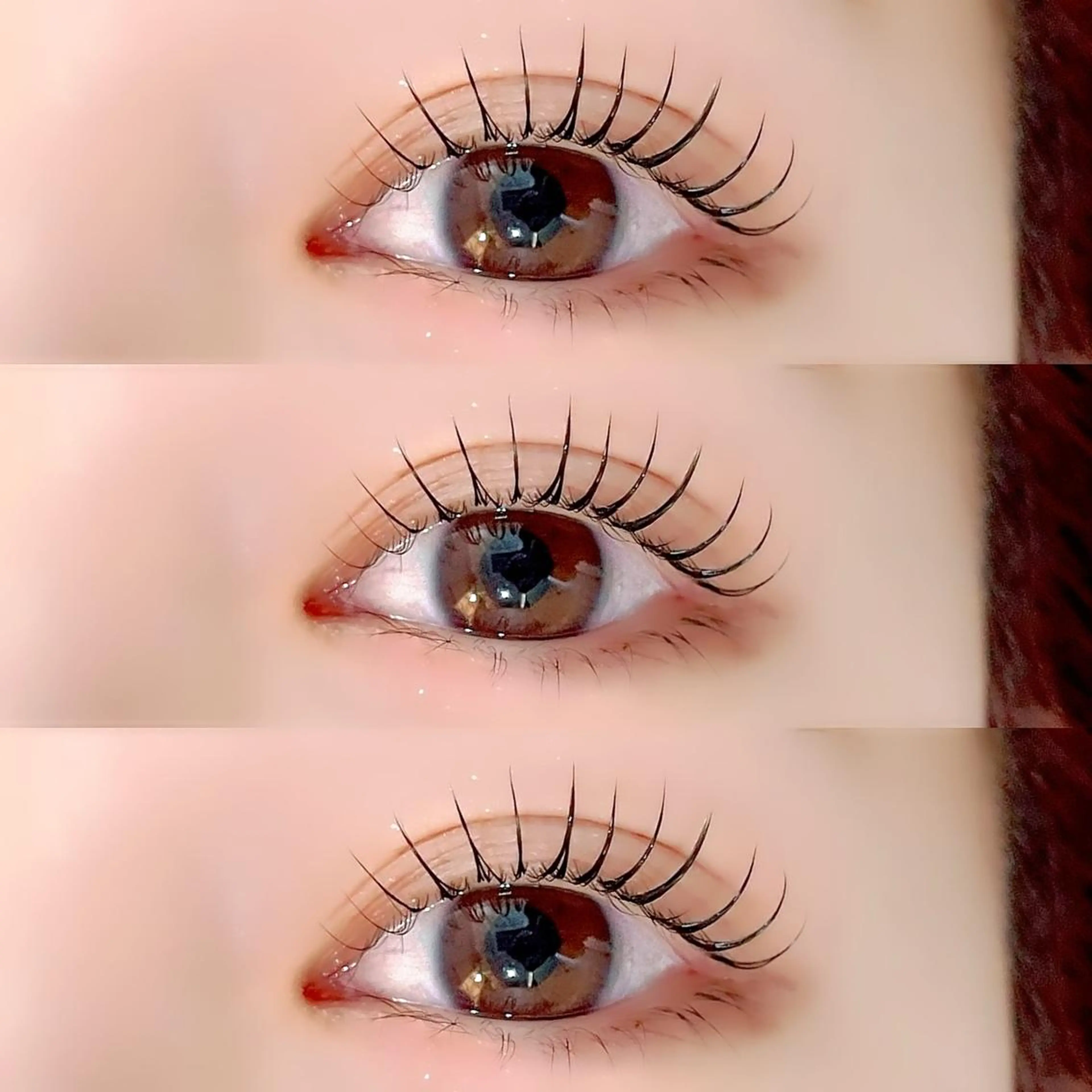 \\ L3 treatment × まつげパーマ //  Special ✨3step treatment 🐰の写真