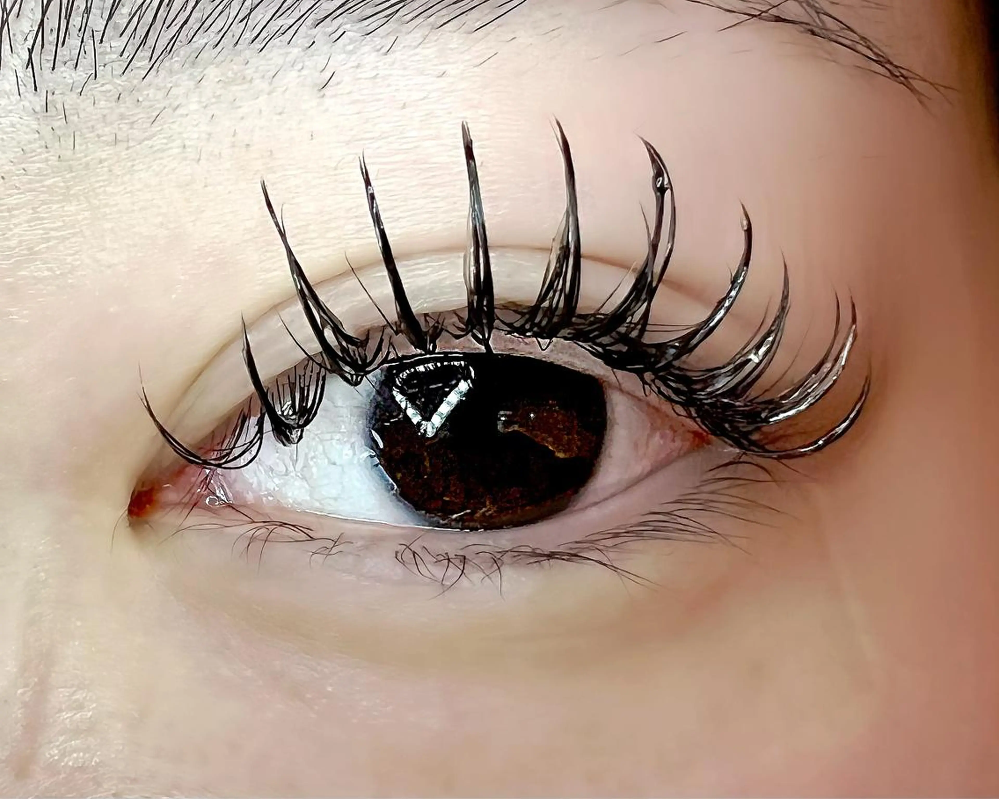 マツエク・マツパ 付け放題 フラットラッシュ Celeste Venus所属・🧸Celeste Venusのマツエク・マツパデザイン