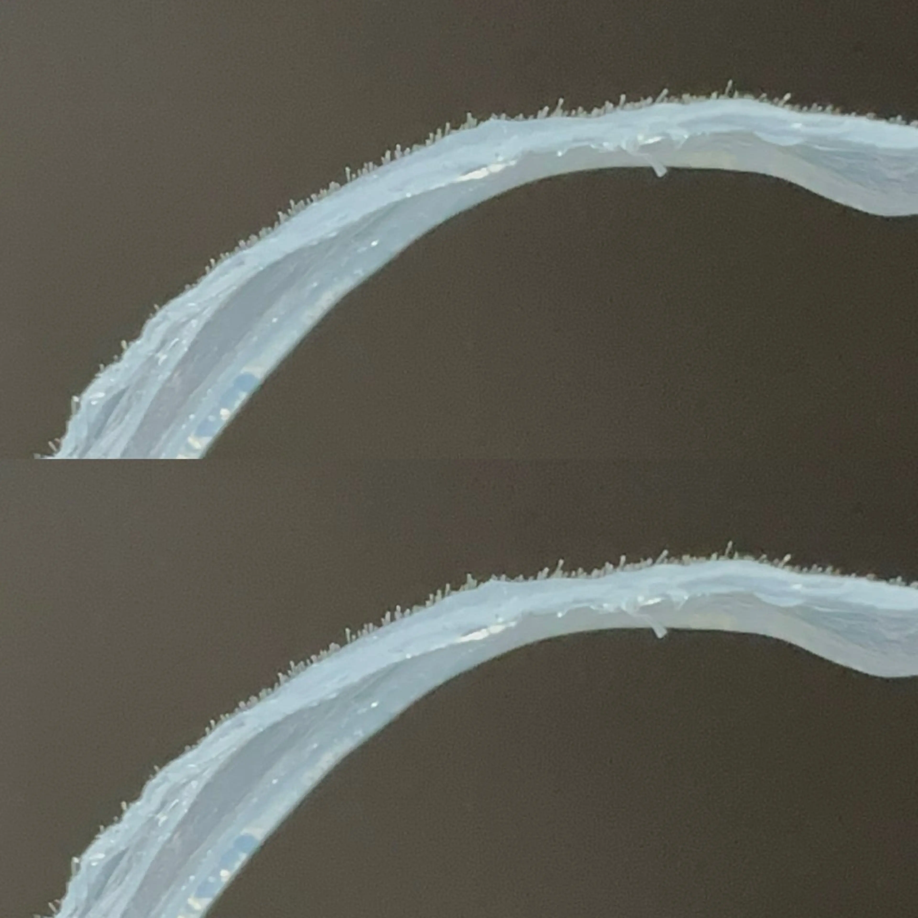 miho【吉祥寺】 ★プライベートサロンのマツエク・マツパデザイン