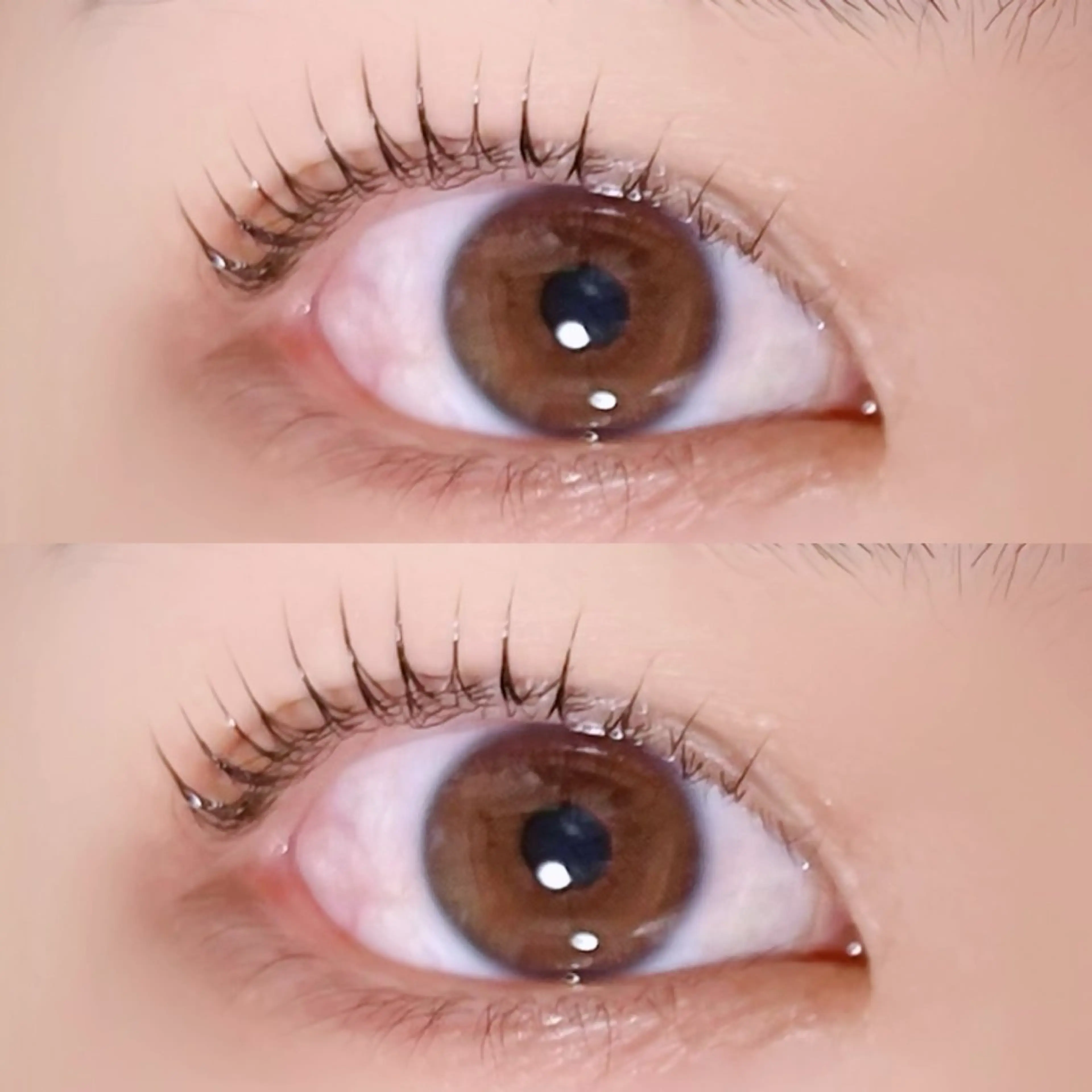 マツエク・マツパ マリーテレジア🩵 OGURAのマツエク・マツパデザイン