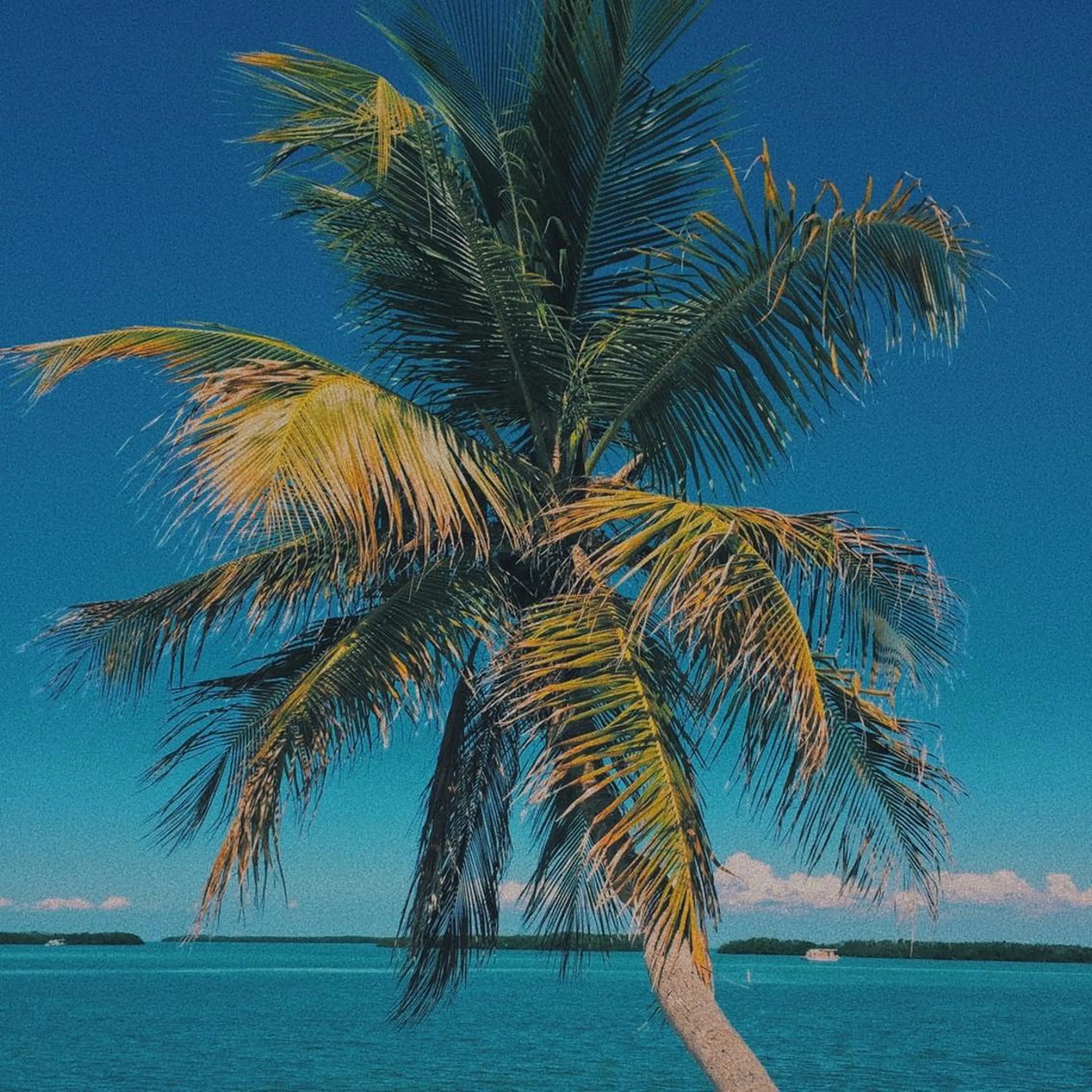 𝐘𝐎𝐒𝐇𝐈 𝐌𝐈🌞🏝のマツエク・マツパデザイン