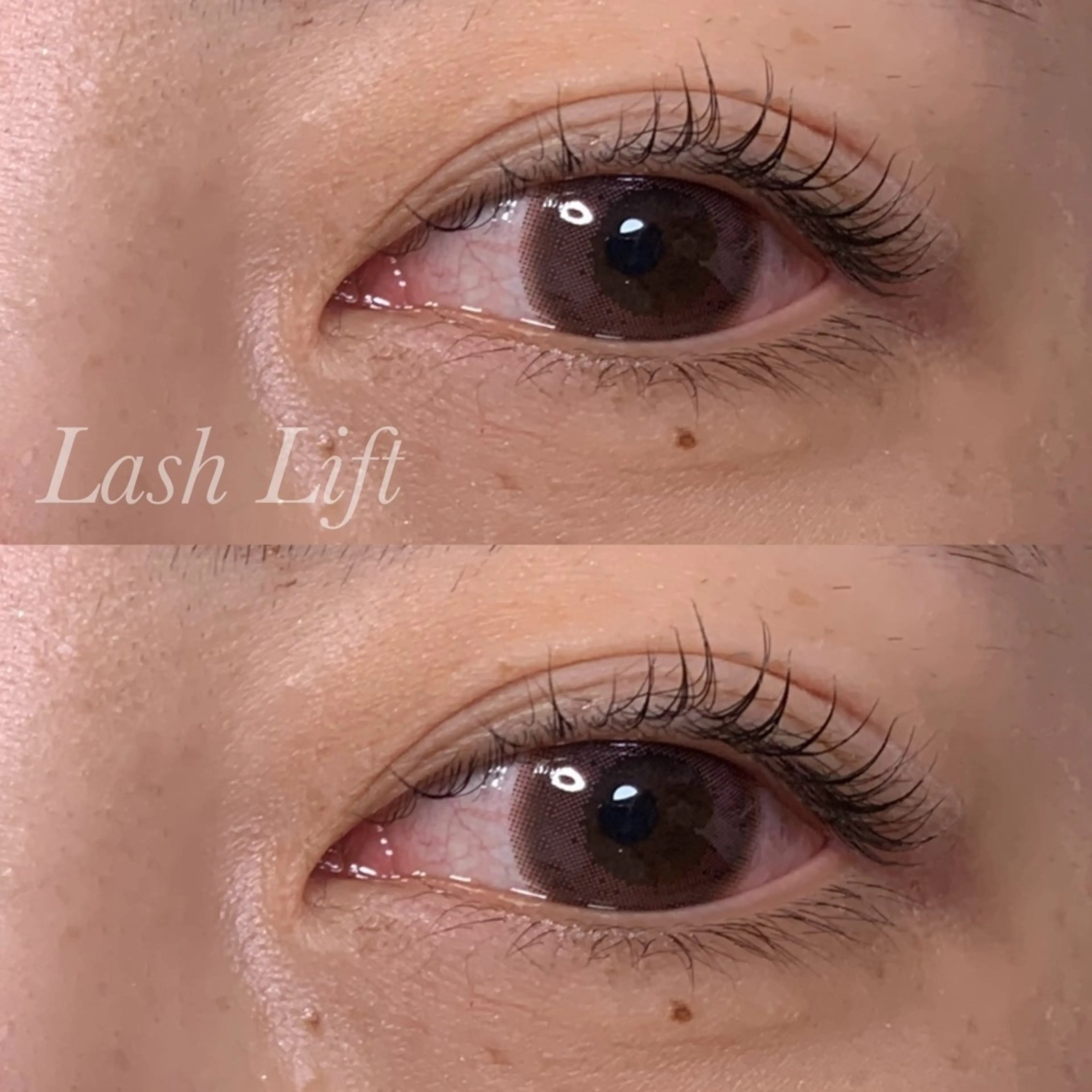 マツエク・マツパ まつげパーマ マツパ Ayumi.pro 🍆N《4階》のマツエク・マツパデザイン