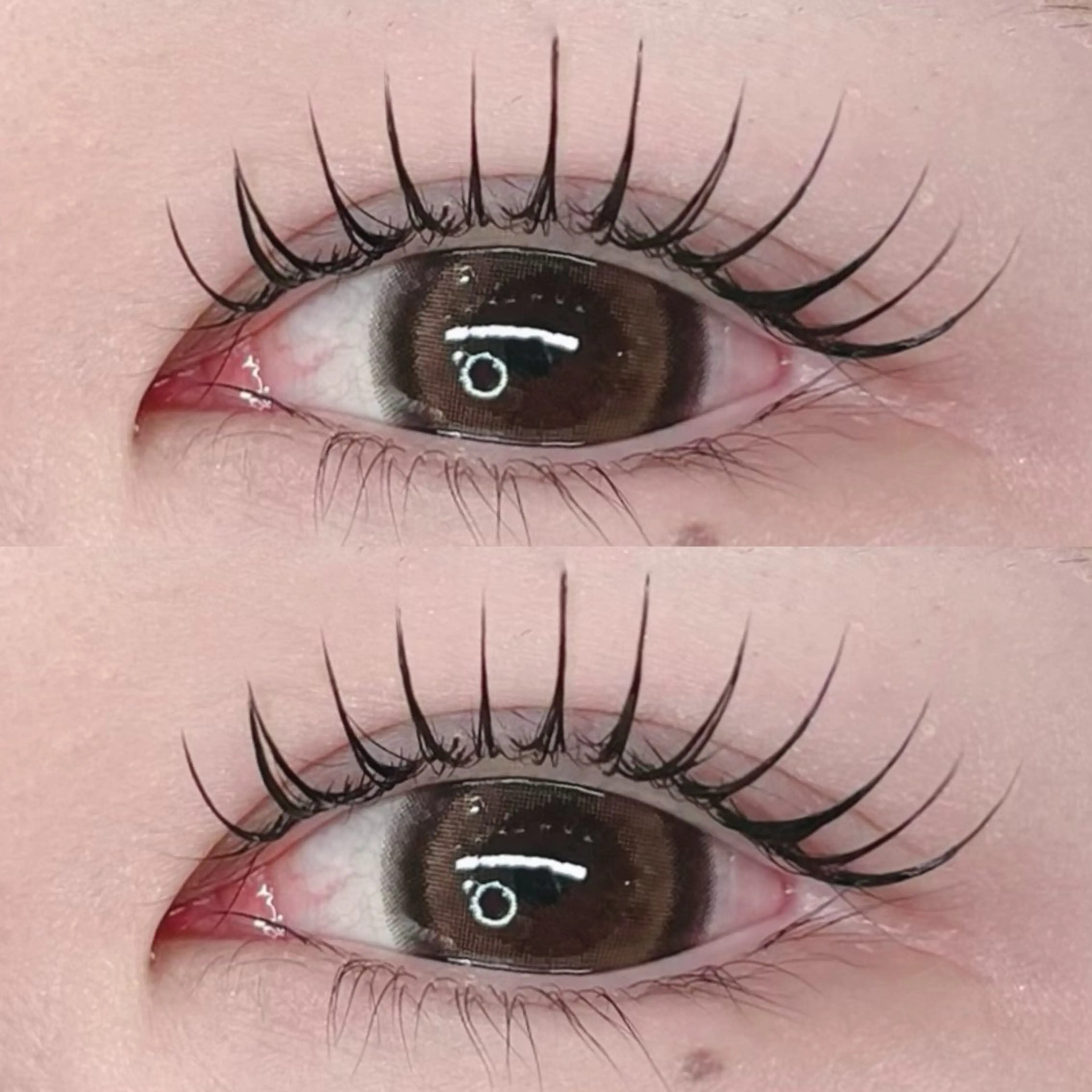 🖤最高級セーブル140本🖤 フラットに変更+550円通常¥7150の写真