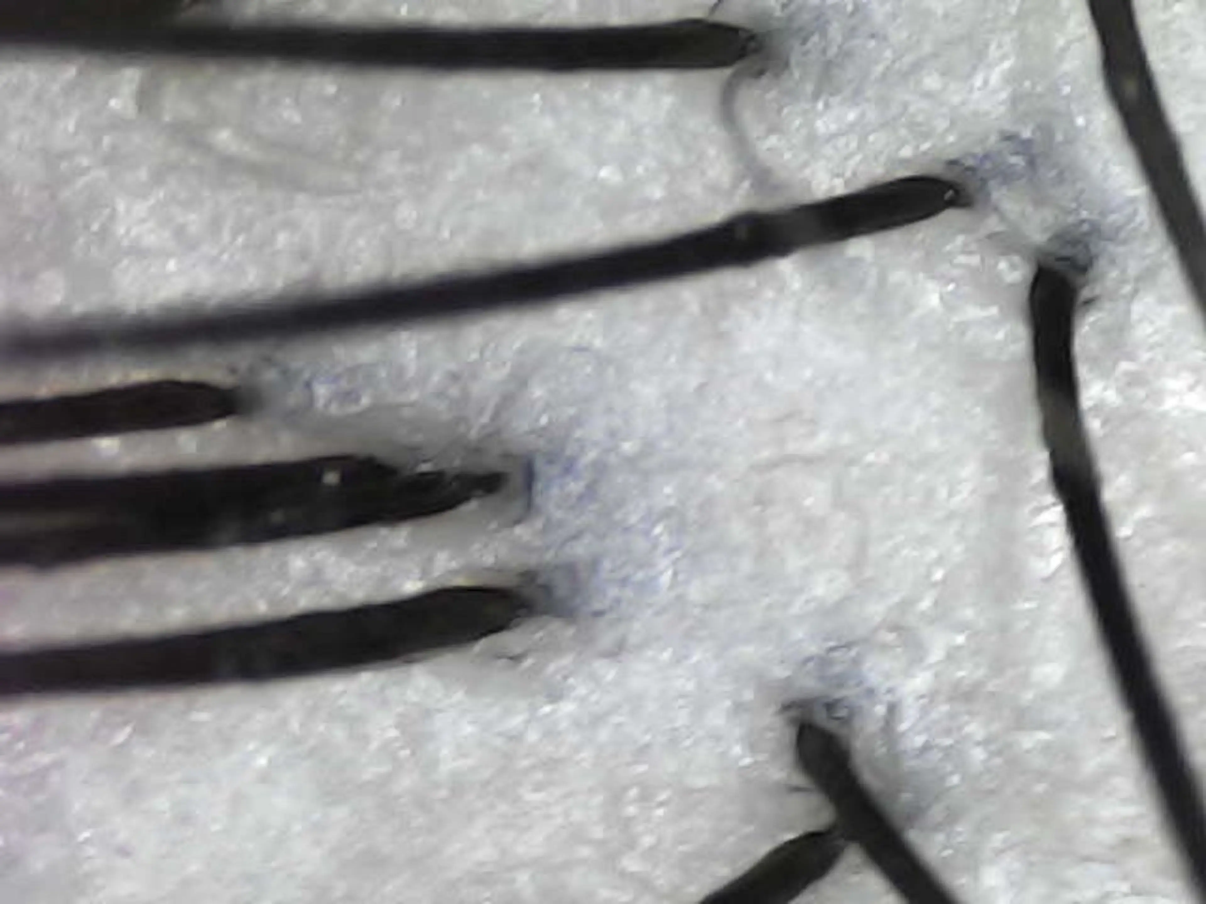 salowin 郡山店所属・中畑 莉菜のヘアスタイル